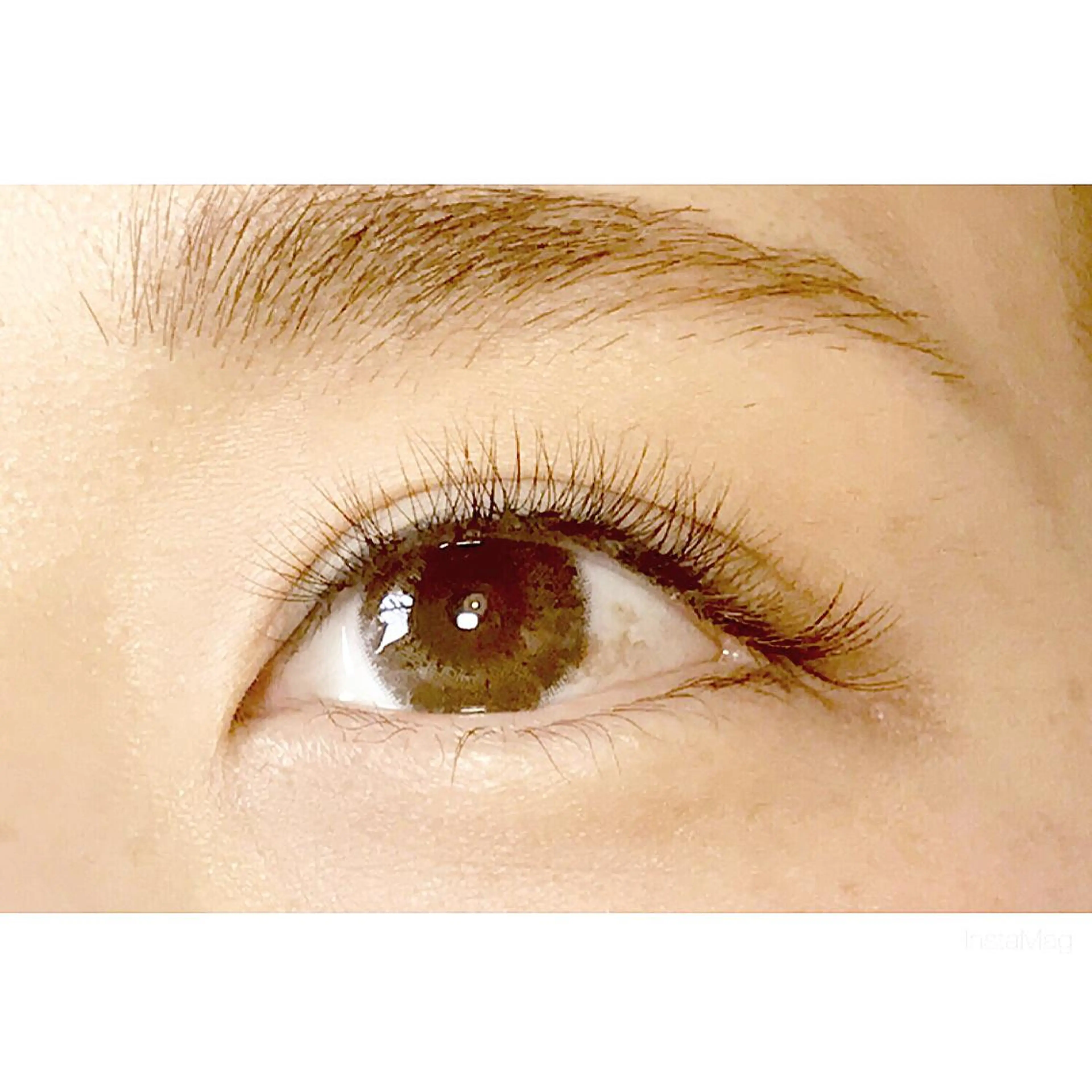 マツエク・マツパ カラーマツエク LATTE マツエク&ハイパーナイフ所属・LATTE eyelashのマツエク・マツパデザイン