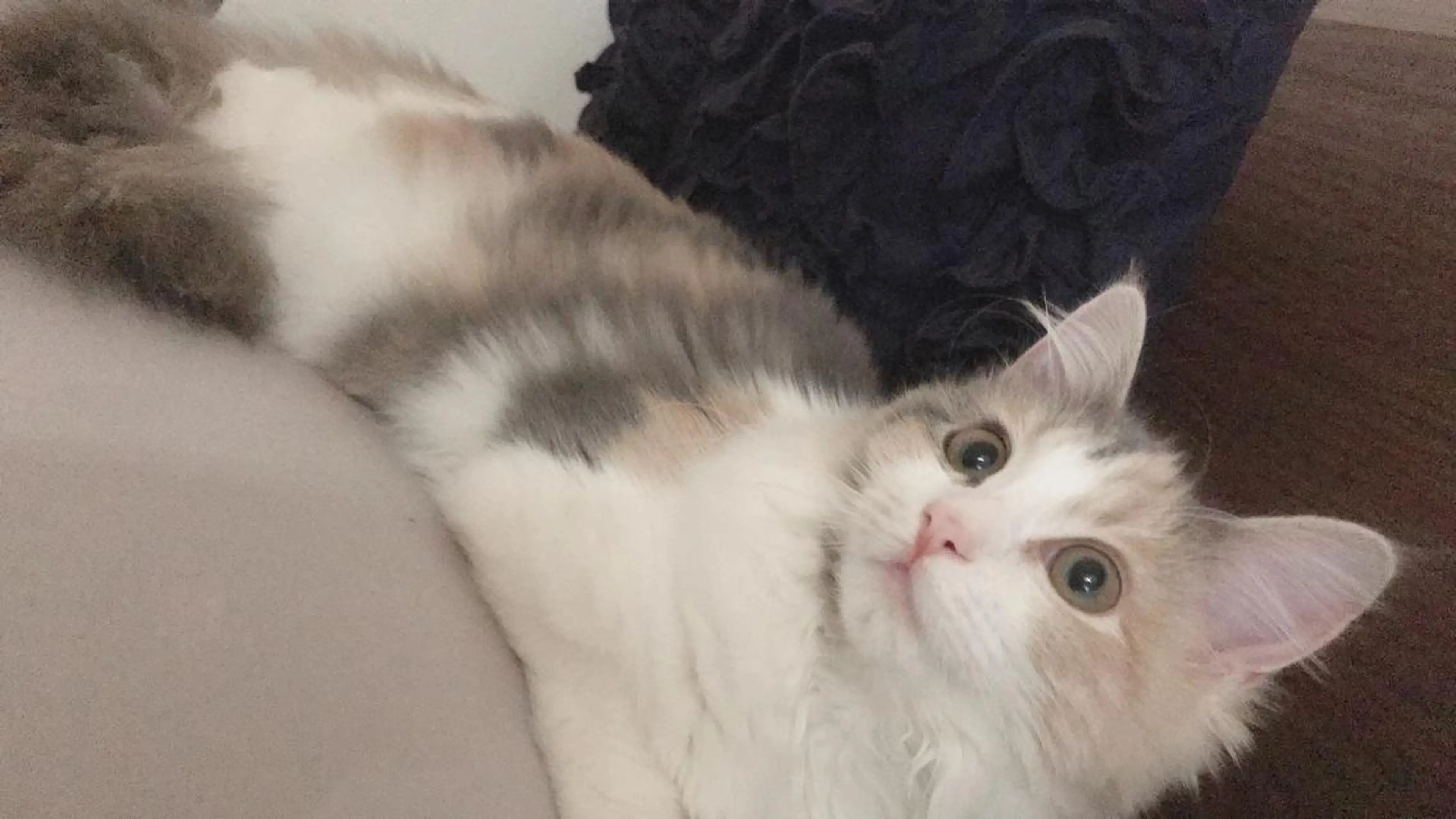 kana gotoのネイルデザイン