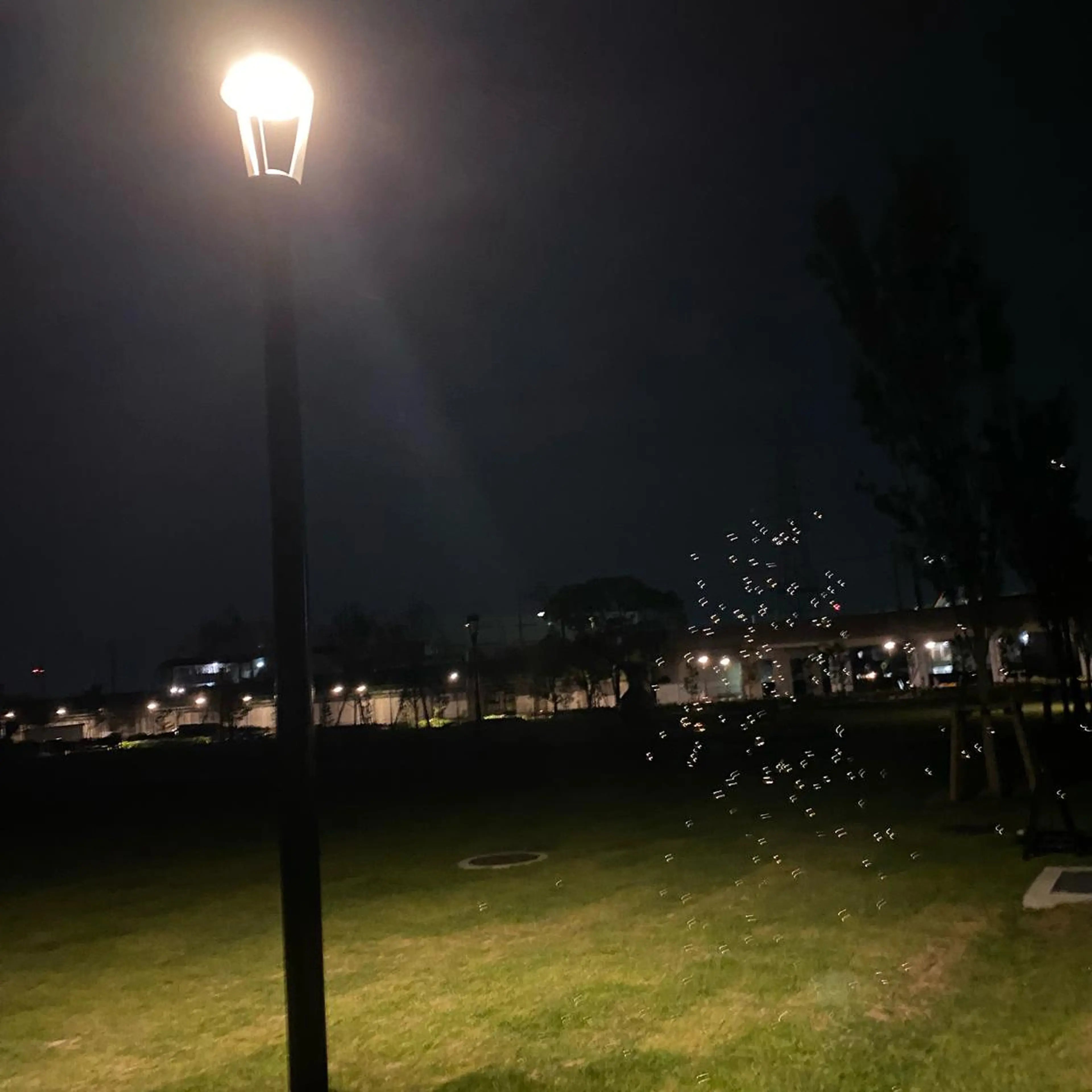 TIDEHAIR SHIHOのヘアスタイル