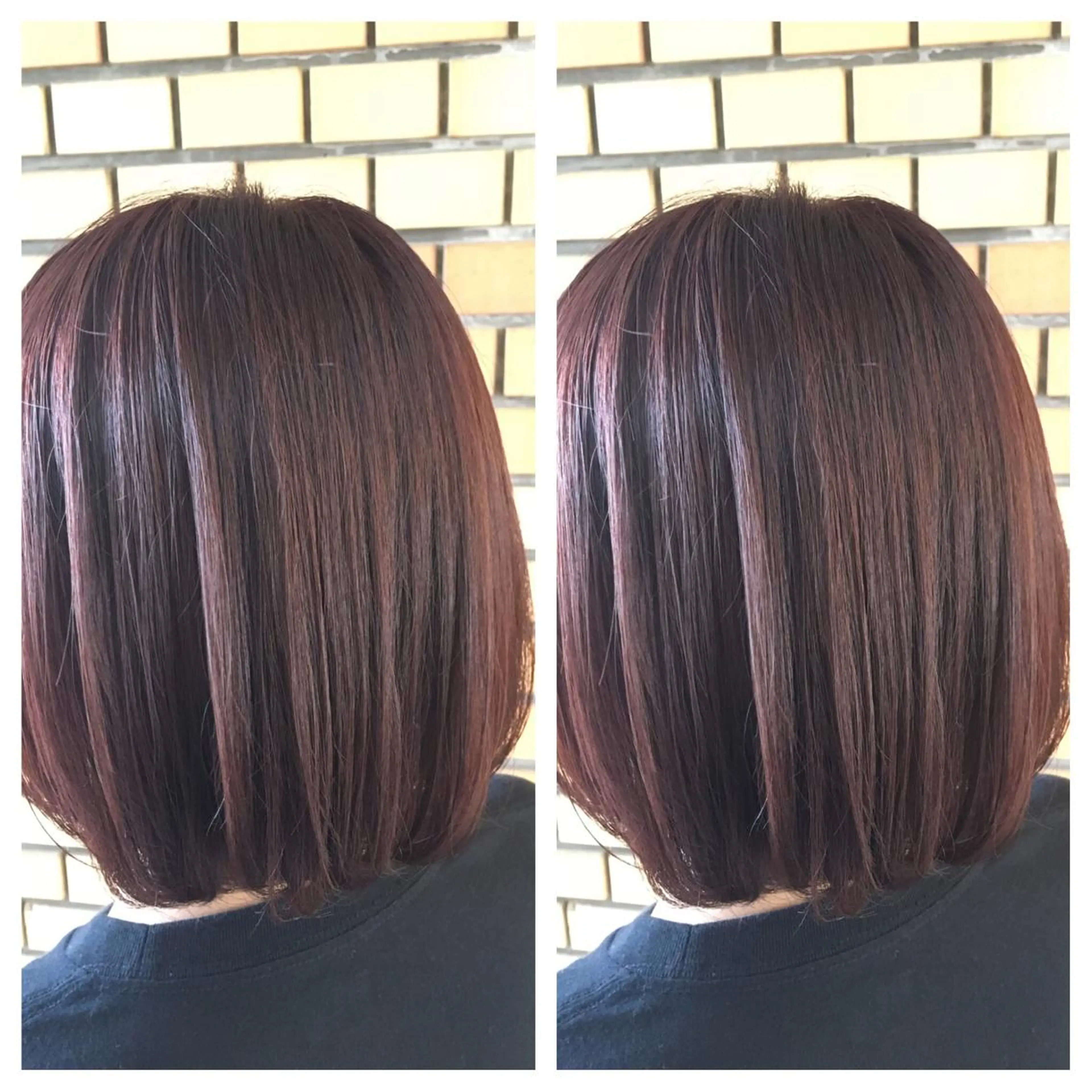 ショート カラー サトウ レンマのヘアスタイル