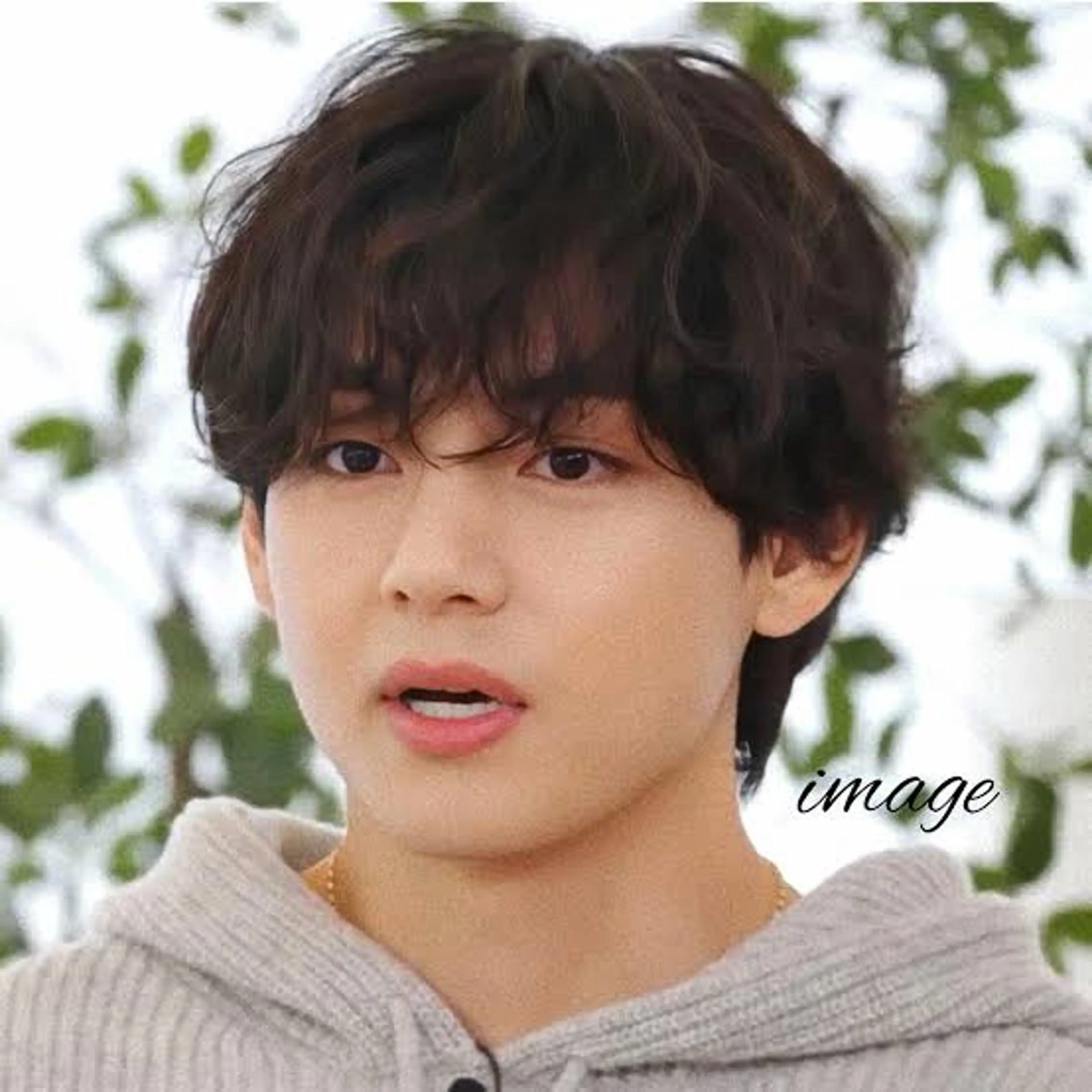 シャドウパーマ（前髪おろし、ツーブロック刈り上げ、襟足はありでも可）の写真