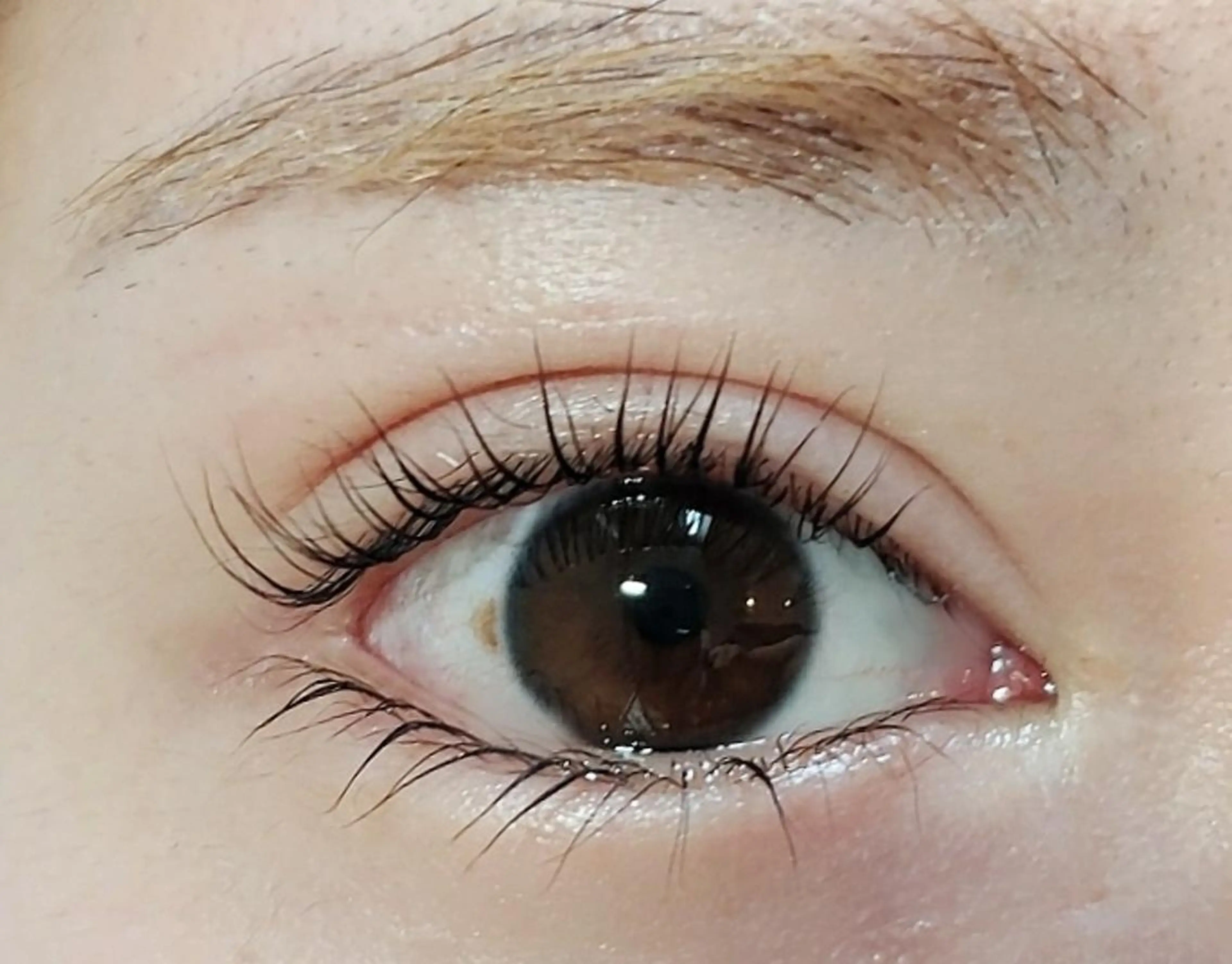 マツエク・マツパ ケラチンラッシュリフト まつげパーマ 下まつげエクステ マツパ esbymaison TAKIのマツエク・マツパデザイン