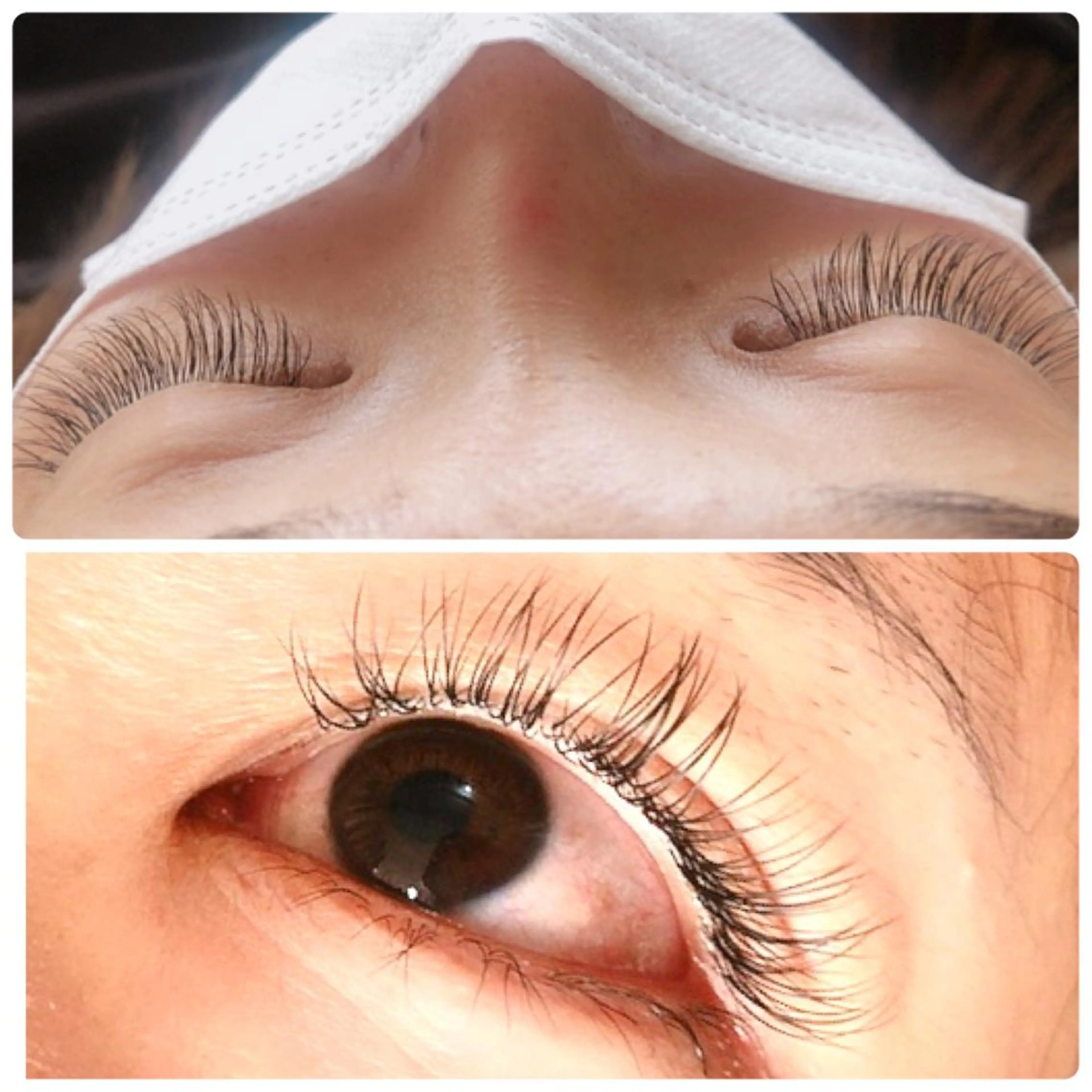 マツエク・マツパ Cカール フラットラッシュ Little 北花田 仲宗根のマツエク・マツパデザイン