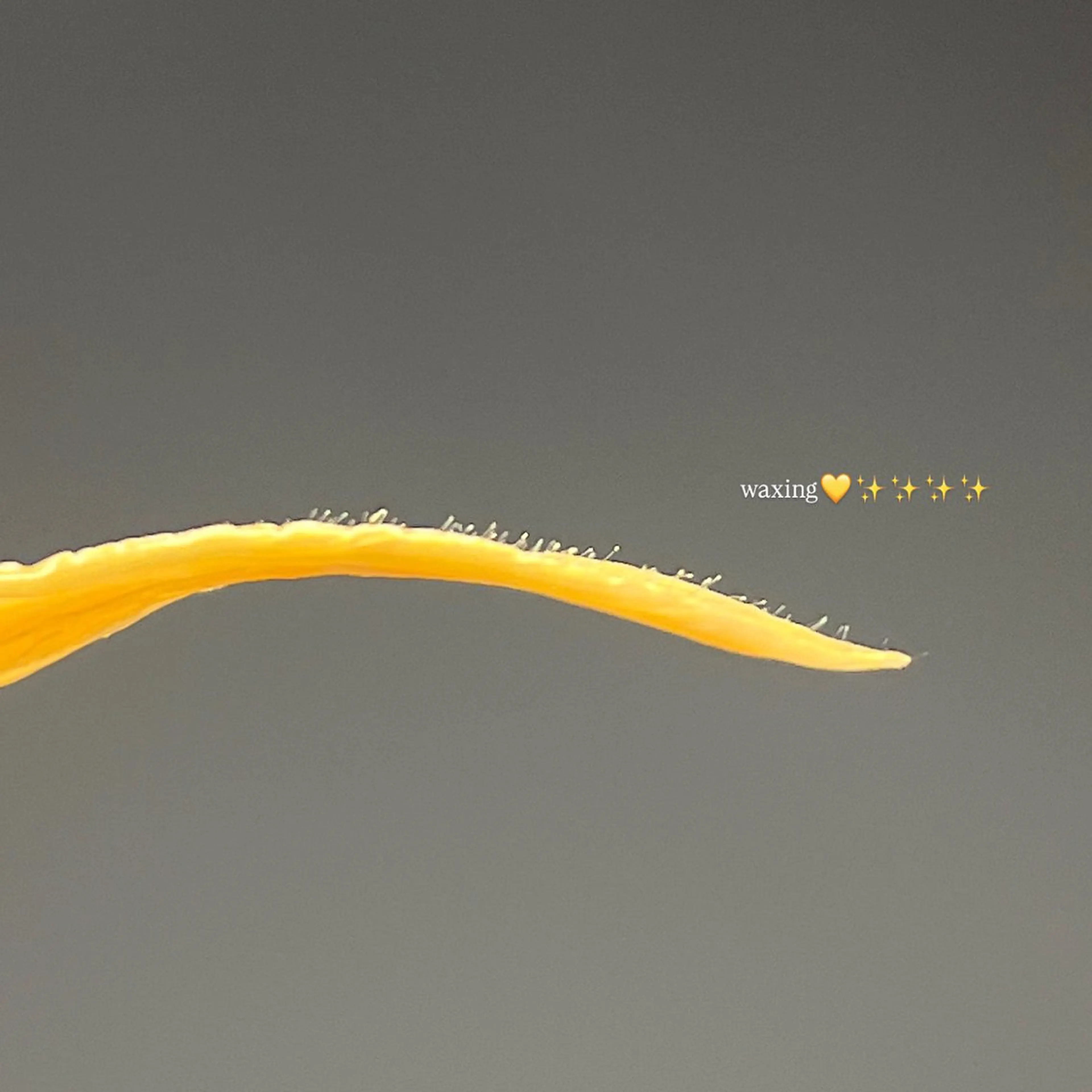 en 表参道 🎀 kyokaの眉毛・アイブロウイメージ