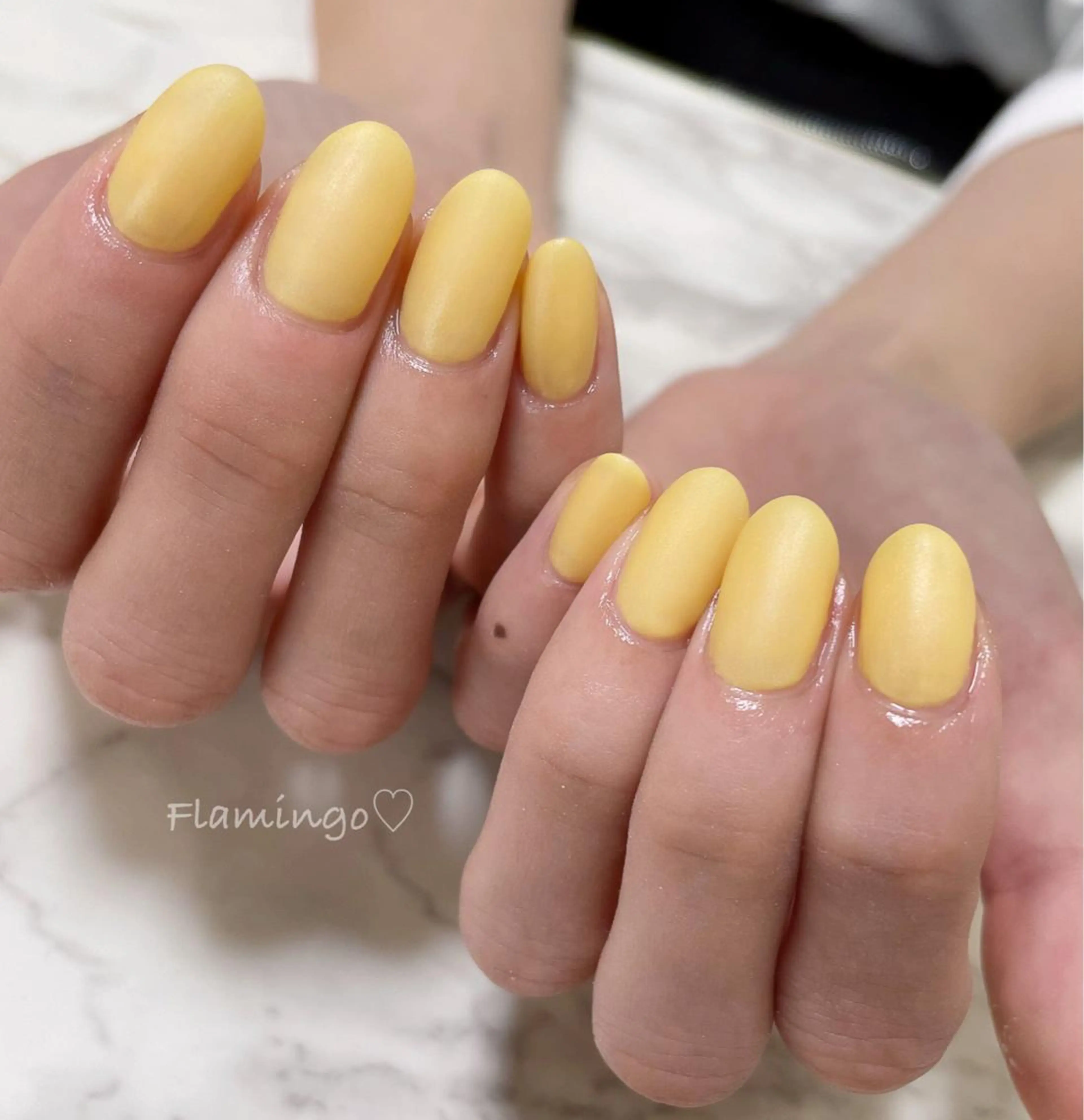 ネイル ジェルネイル マットネイル ワンカラーネイル シンプルネイル 春ネイル シンプル／上品／爪育 ☺︎Flamingoのネイルデザイン