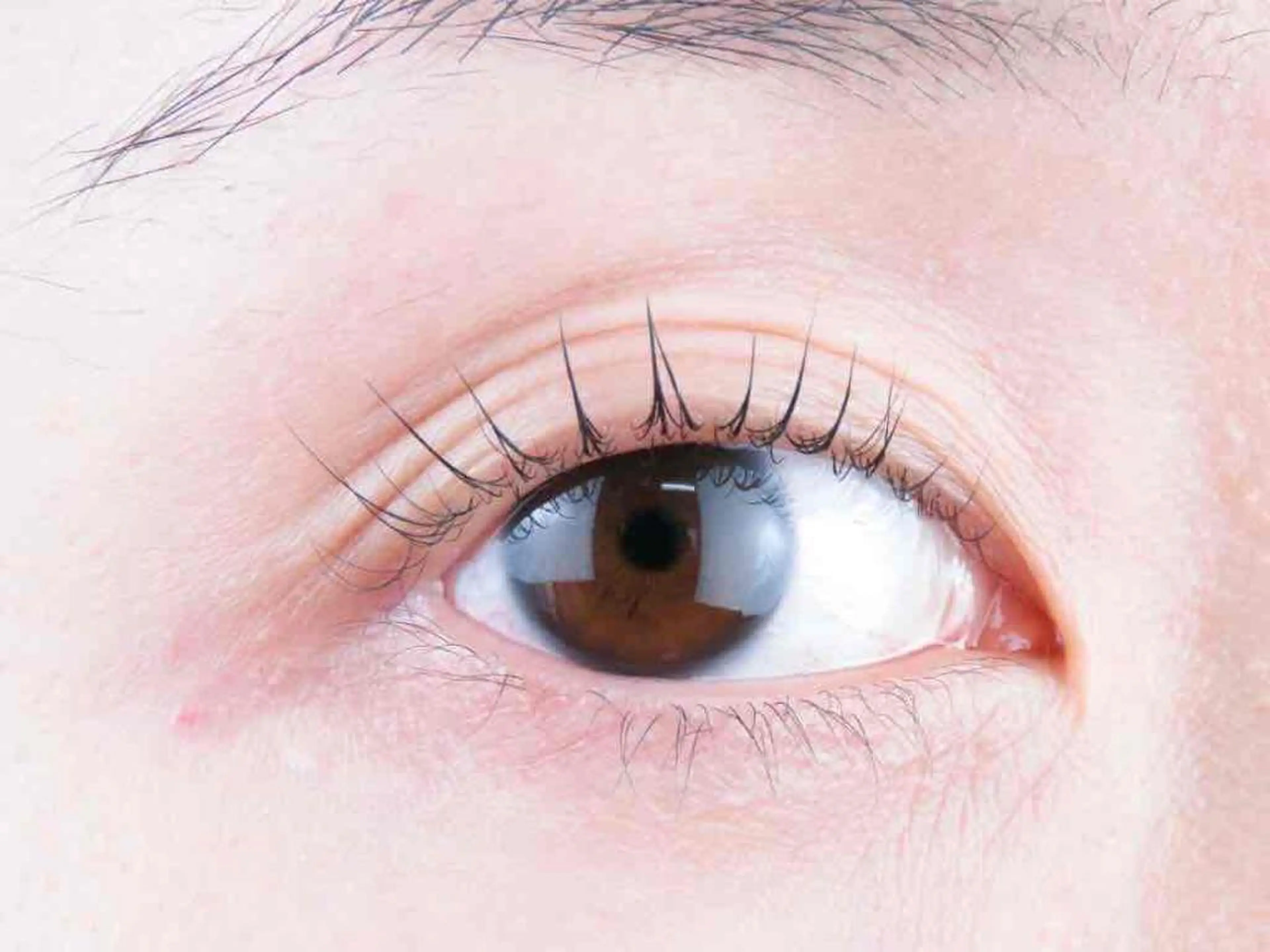 マツエク・マツパ マツパ R'ocoLush 恵比寿店江川のマツエク・マツパデザイン