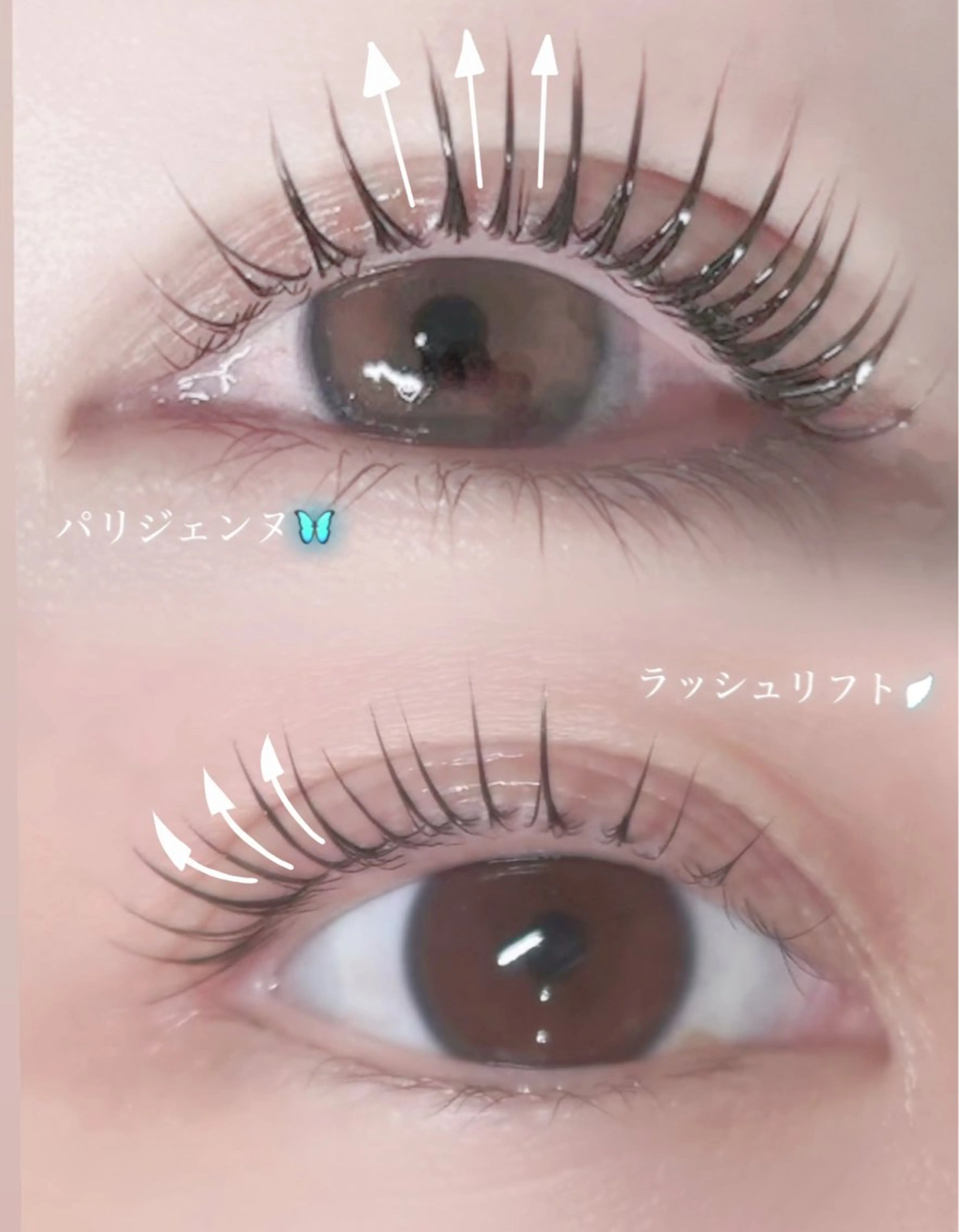 マツエク・マツパ パリジェンヌラッシュリフト 仲尾 奏音のマツエク・マツパデザイン