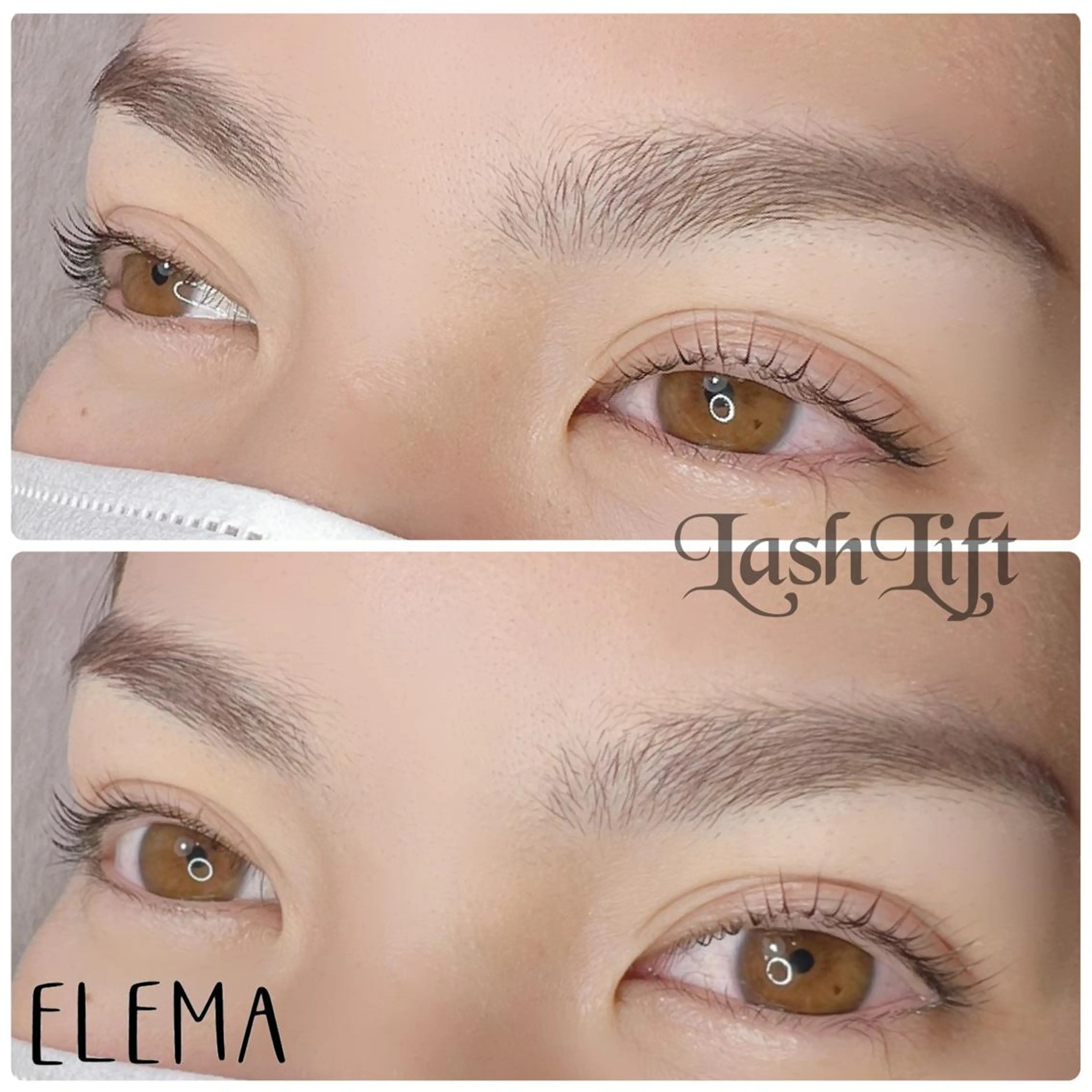 ãããšã¯ã»ããã Cherishæå±ã»Cherish chieã®ãããšã¯ã»ããããã¶ã€ã³