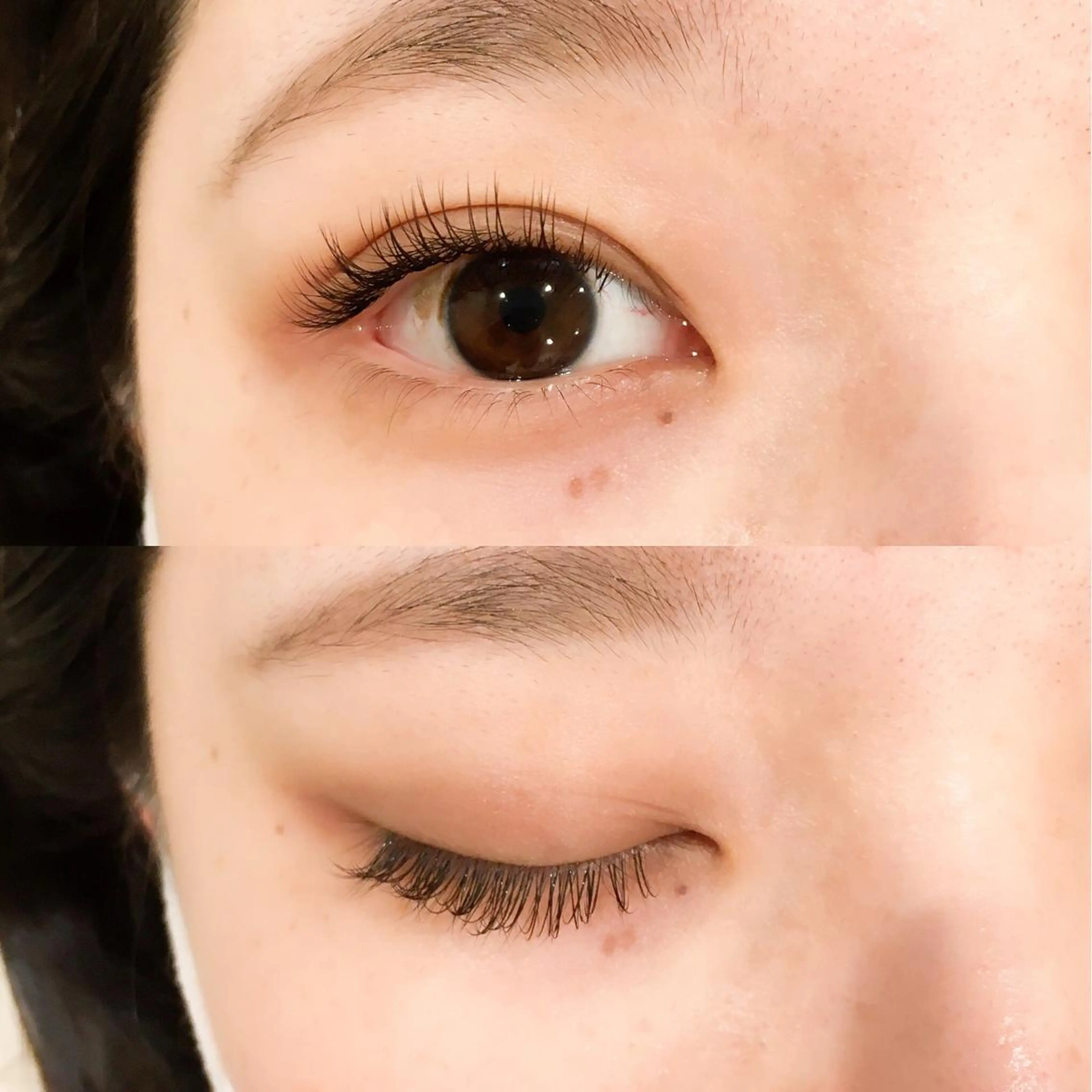 マツエク・マツパ ブラウンラッシュ Cカール カラーマツエク レイフィールド北名古屋所属・レイフィールド 服部のマツエク・マツパデザイン