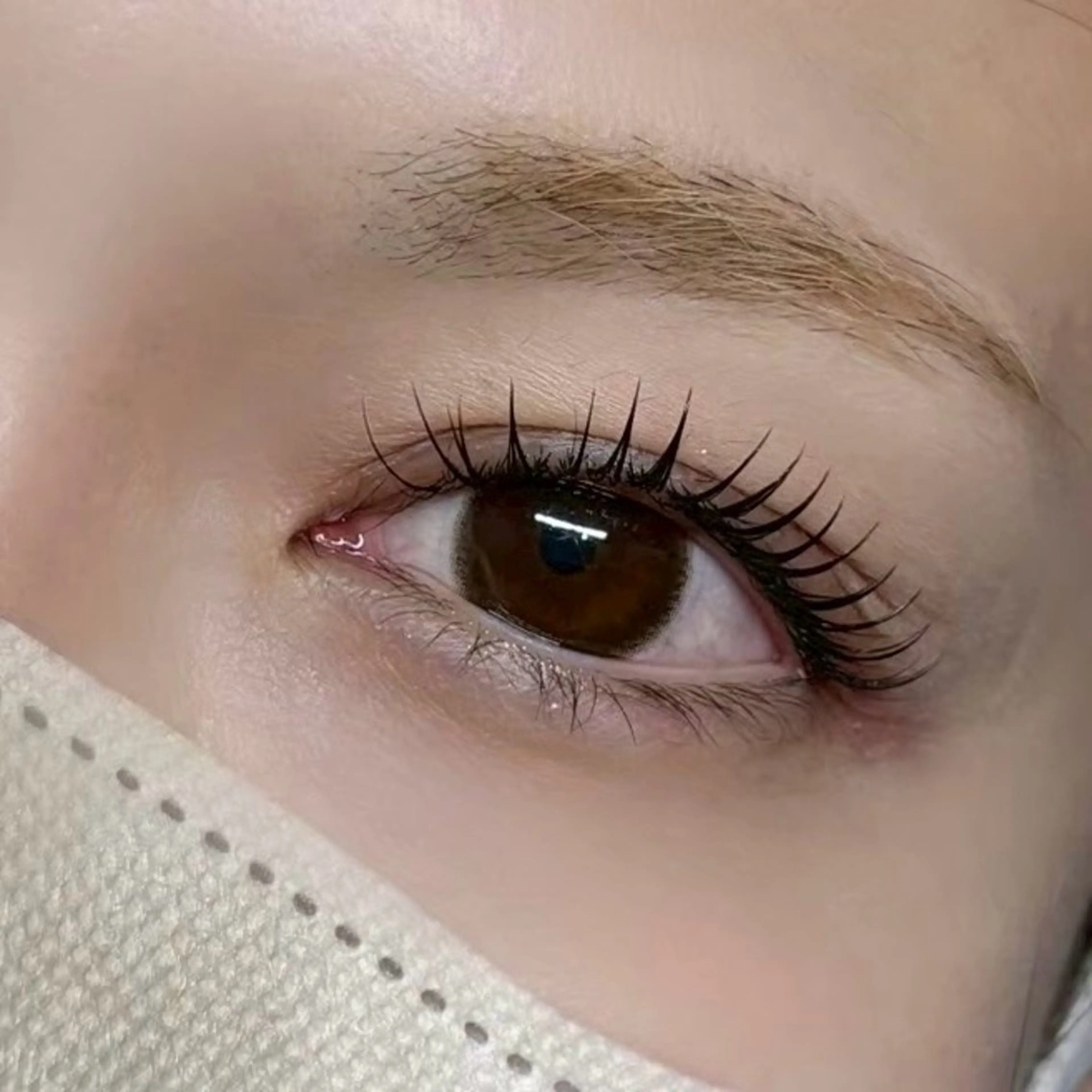オフなし フラットラッシュ120本の写真