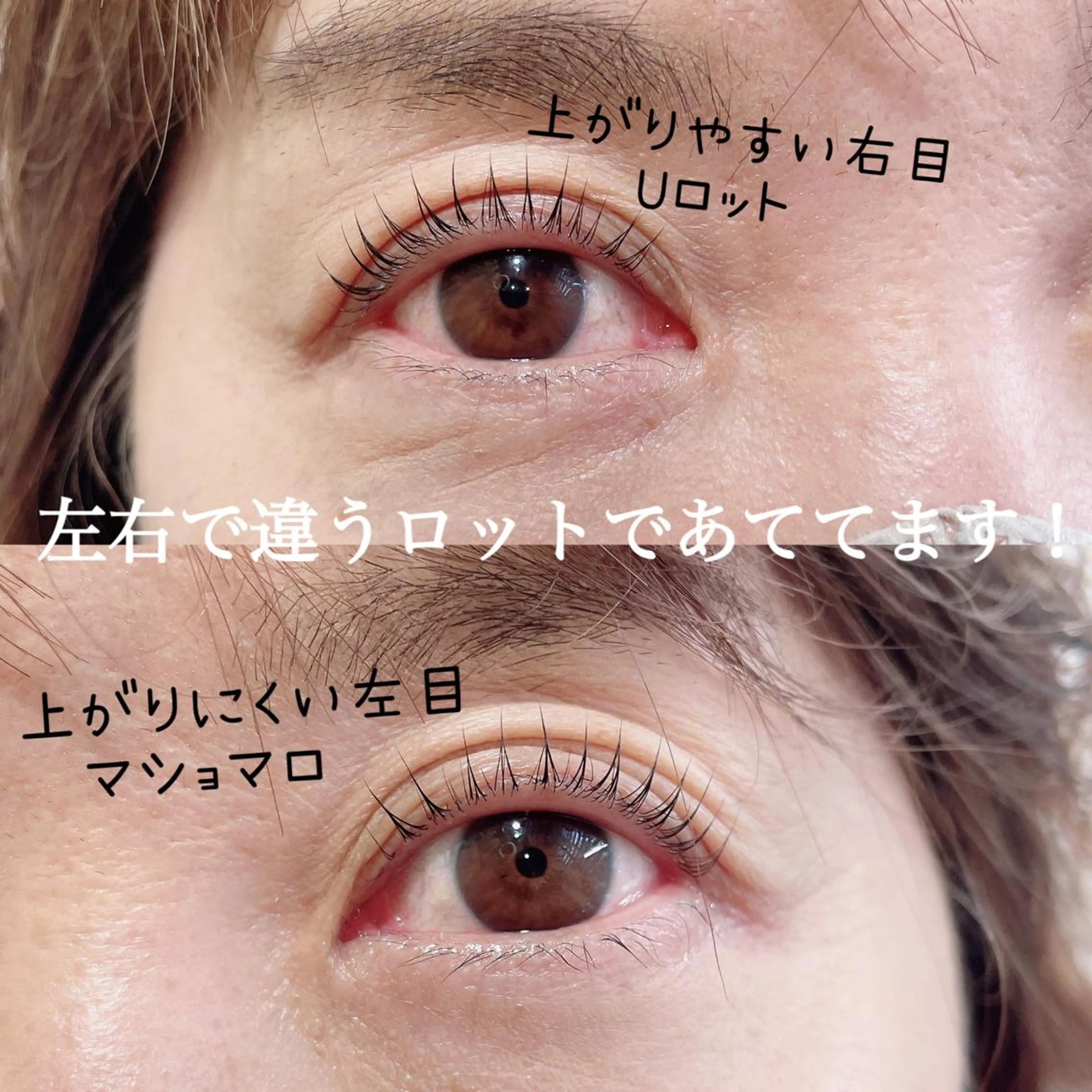 マツエク・マツパ マツパ SEALA 高石店所属・SEALA 高石の眉毛・アイブロウイメージ