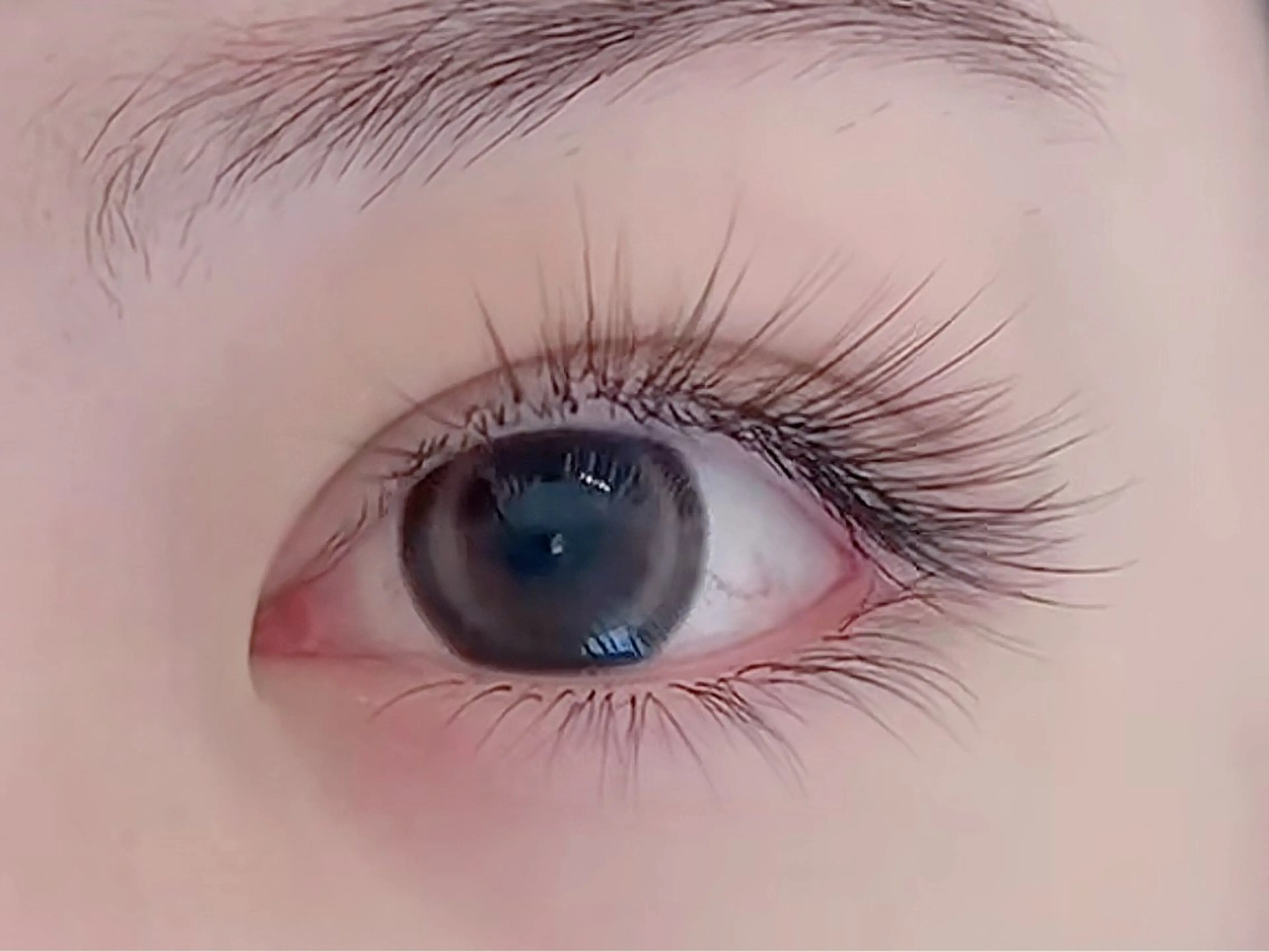 マツエク・マツパ マツエク CeCe Nail&eyelash salon所属・人気店🌸Ce Ce マツエク&ネイルのマツエク・マツパデザイン