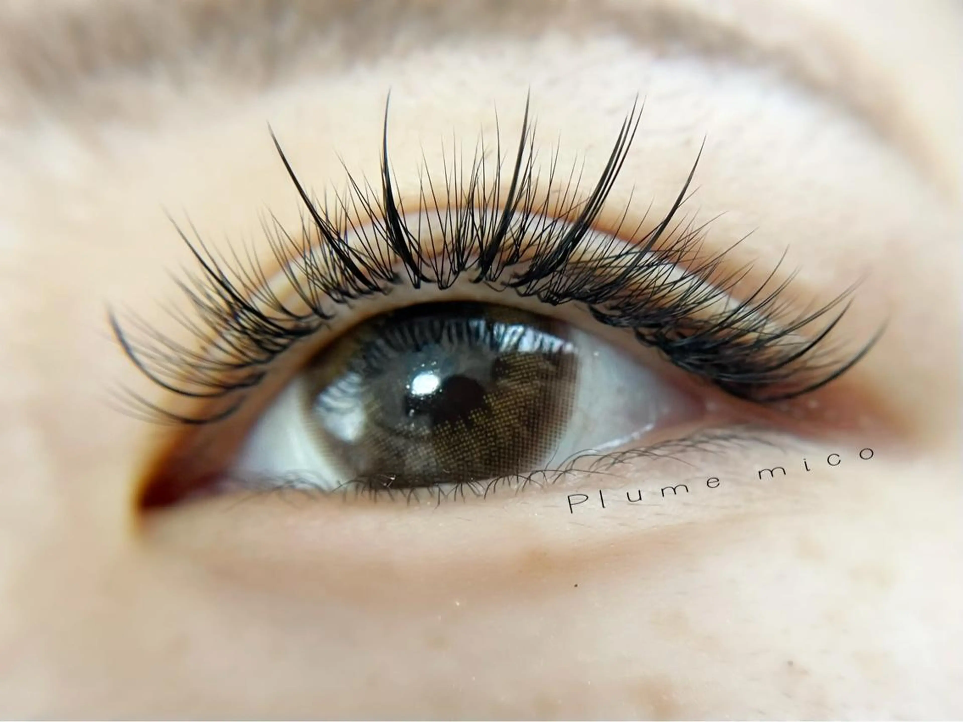 マツエク・マツパ ワンホンマツエク マツエク Plume micoのマツエク・マツパデザイン