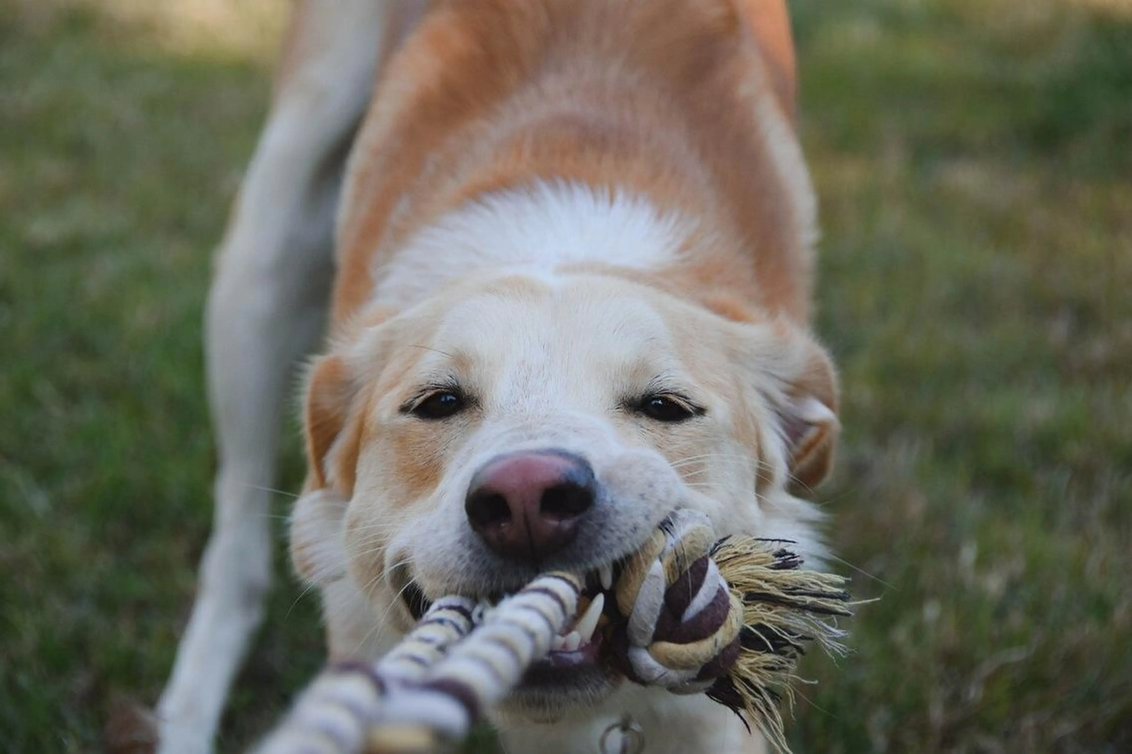 💚Forest Mirror💚のヘアスタイル