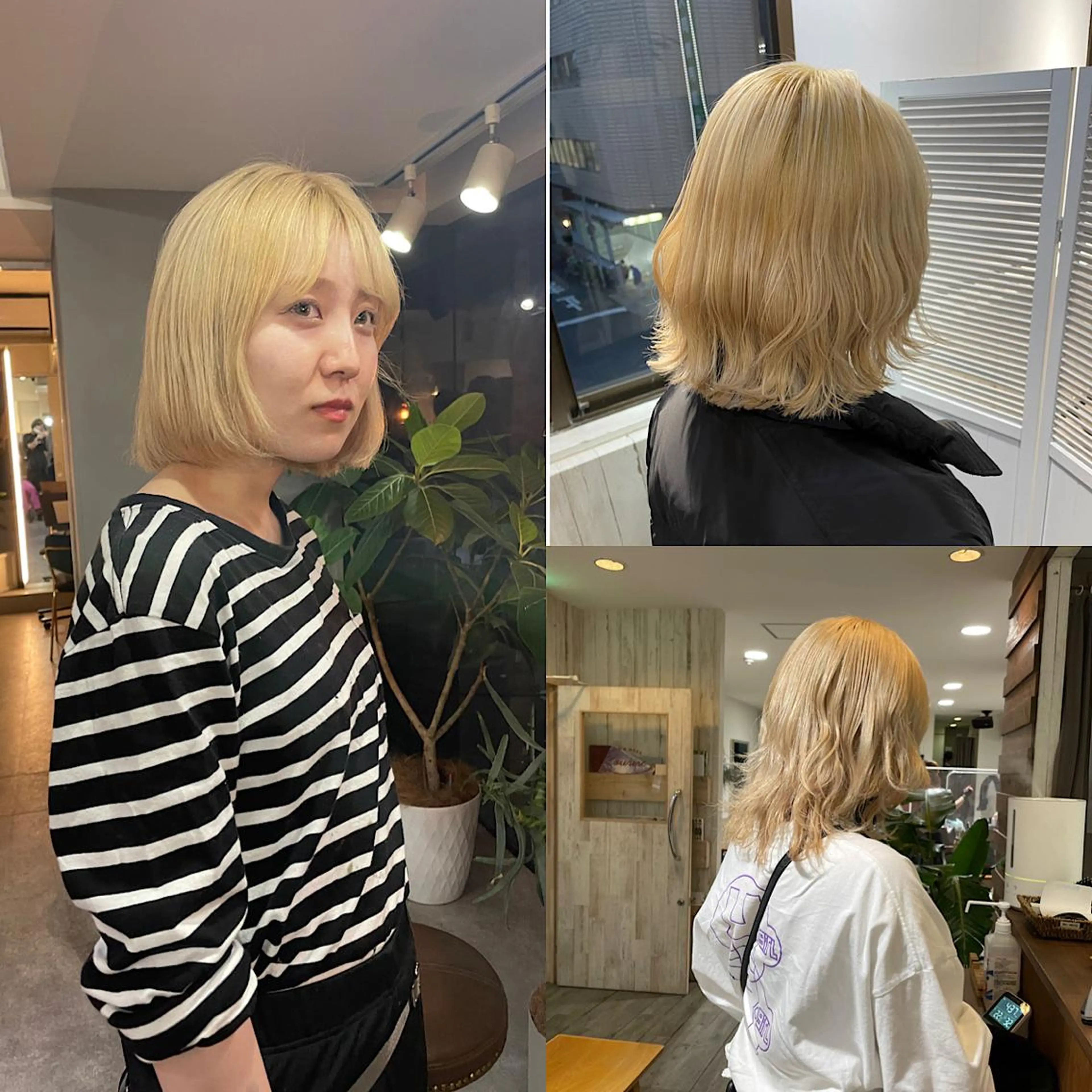 カラー 🐺ウルフ/デザイン カラー🐺MASAのヘアスタイル