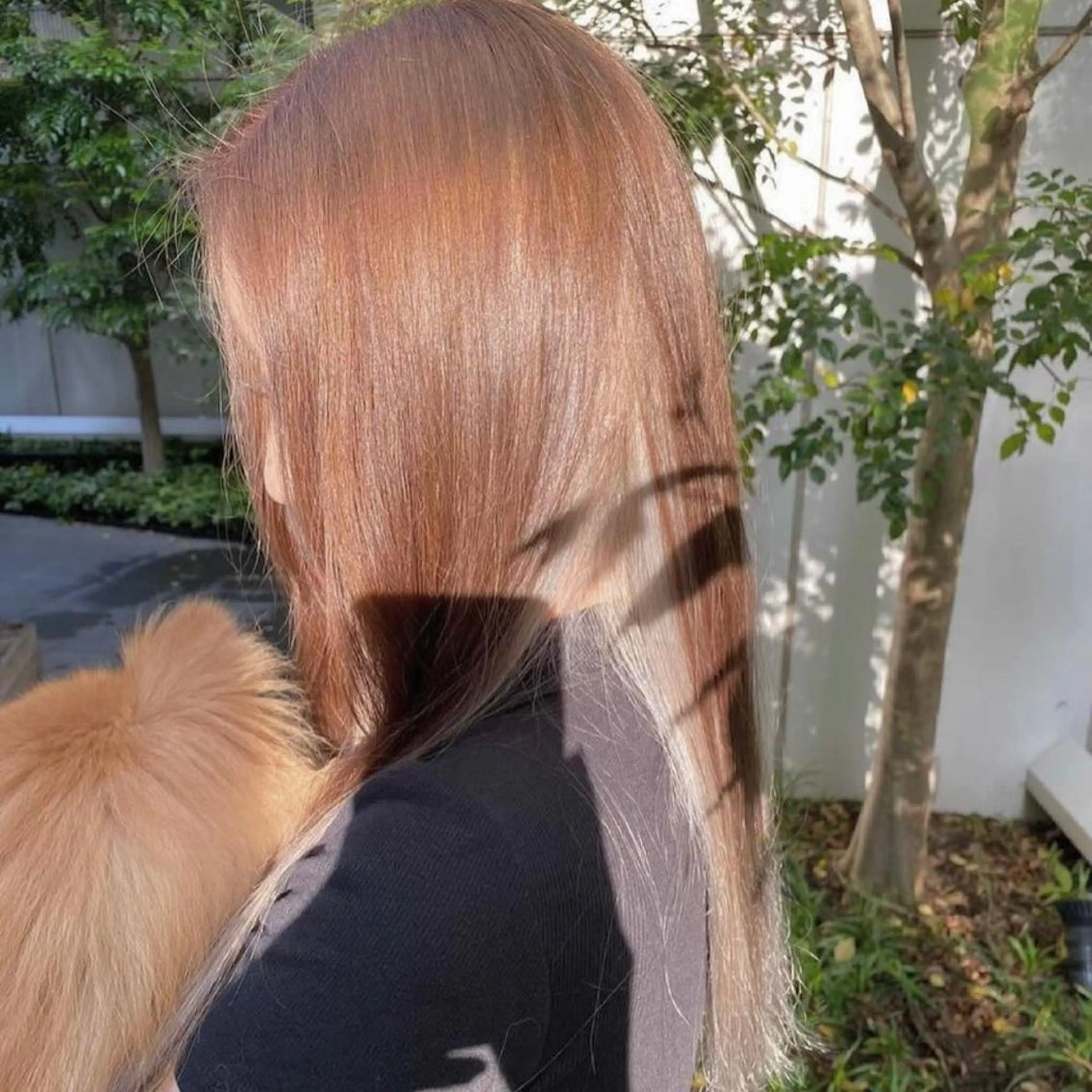 ロング カラー 🎀ハイトーン/レイ ヤー/Reina🎀のヘアスタイル