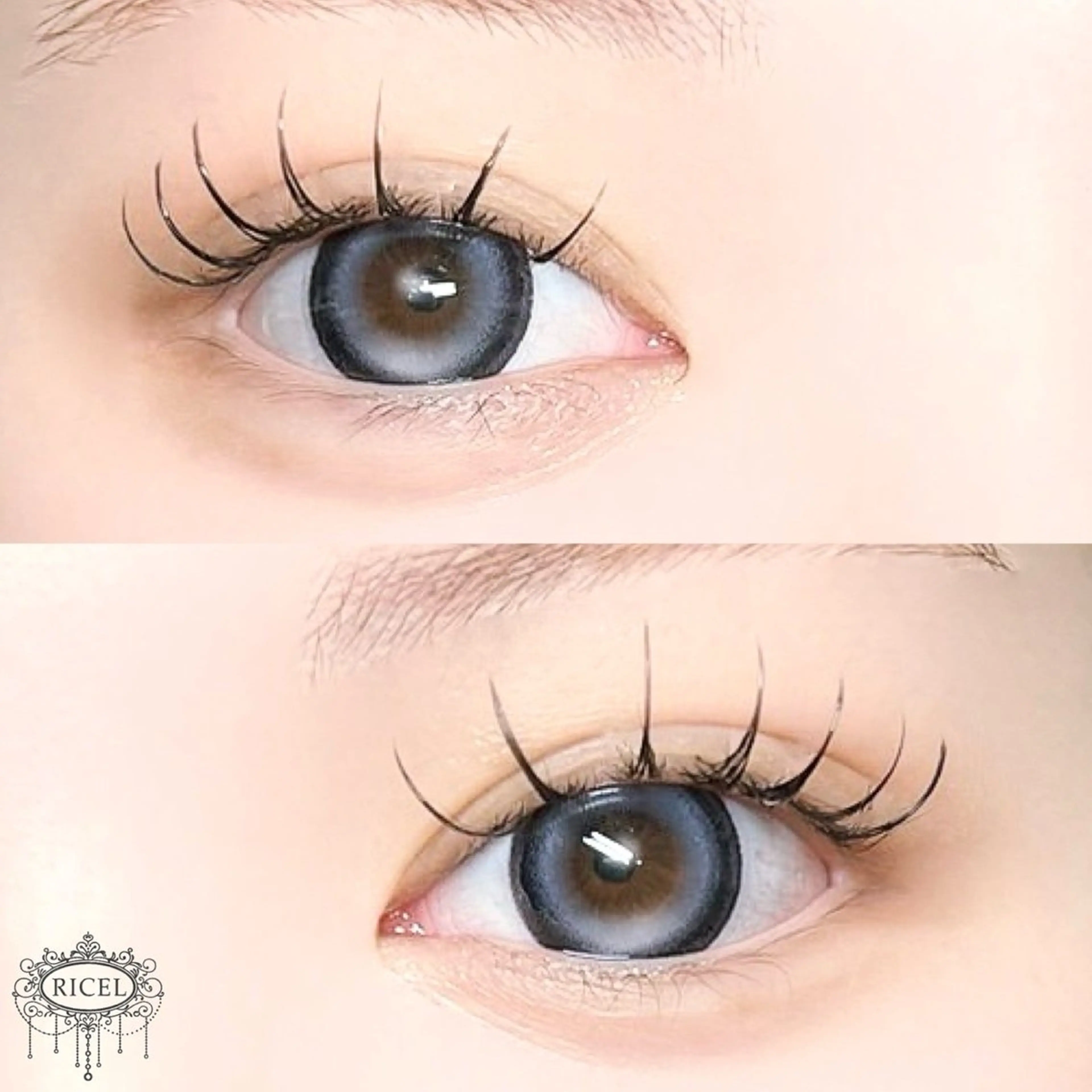 マツエク・マツパ フラットラッシュ Shiima ꪔ̤̮のマツエク・マツパデザイン