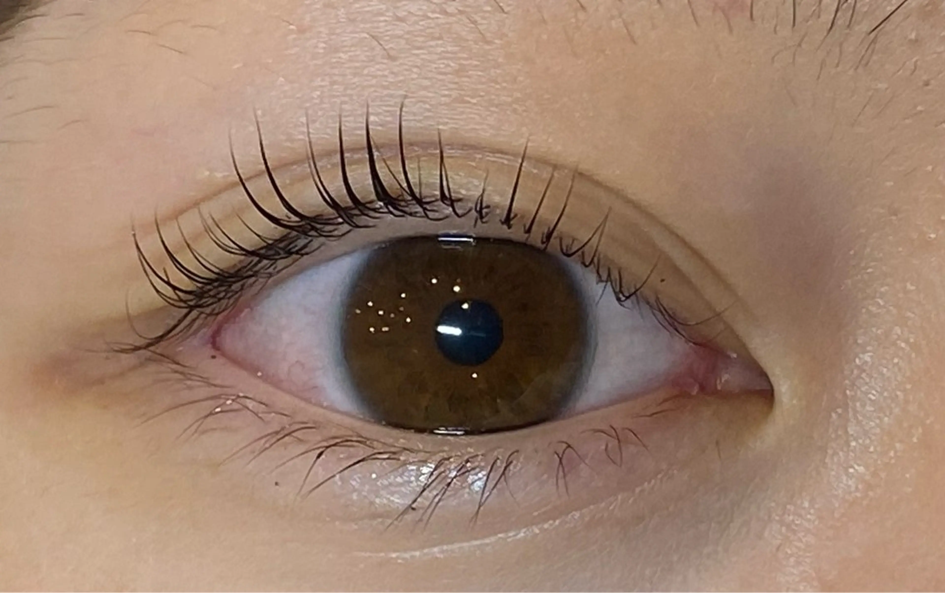 マツエク・マツパ Daisy lash 京橋店堀井のマツエク・マツパデザイン