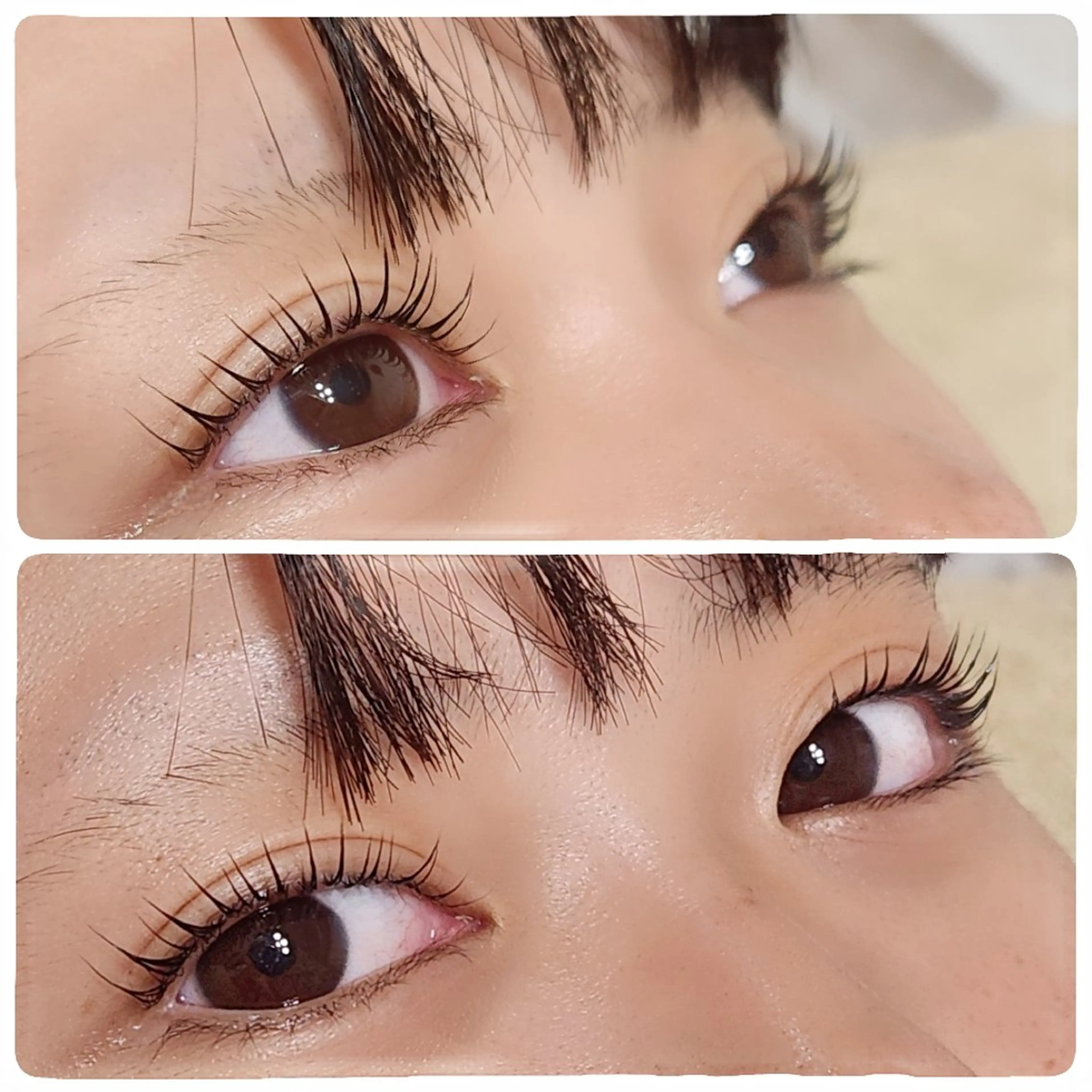 マツエク・マツパ 一重×まつ毛パーマ マツパ beautysalon ASHA所属・ASHA ikumiのマツエク・マツパデザイン