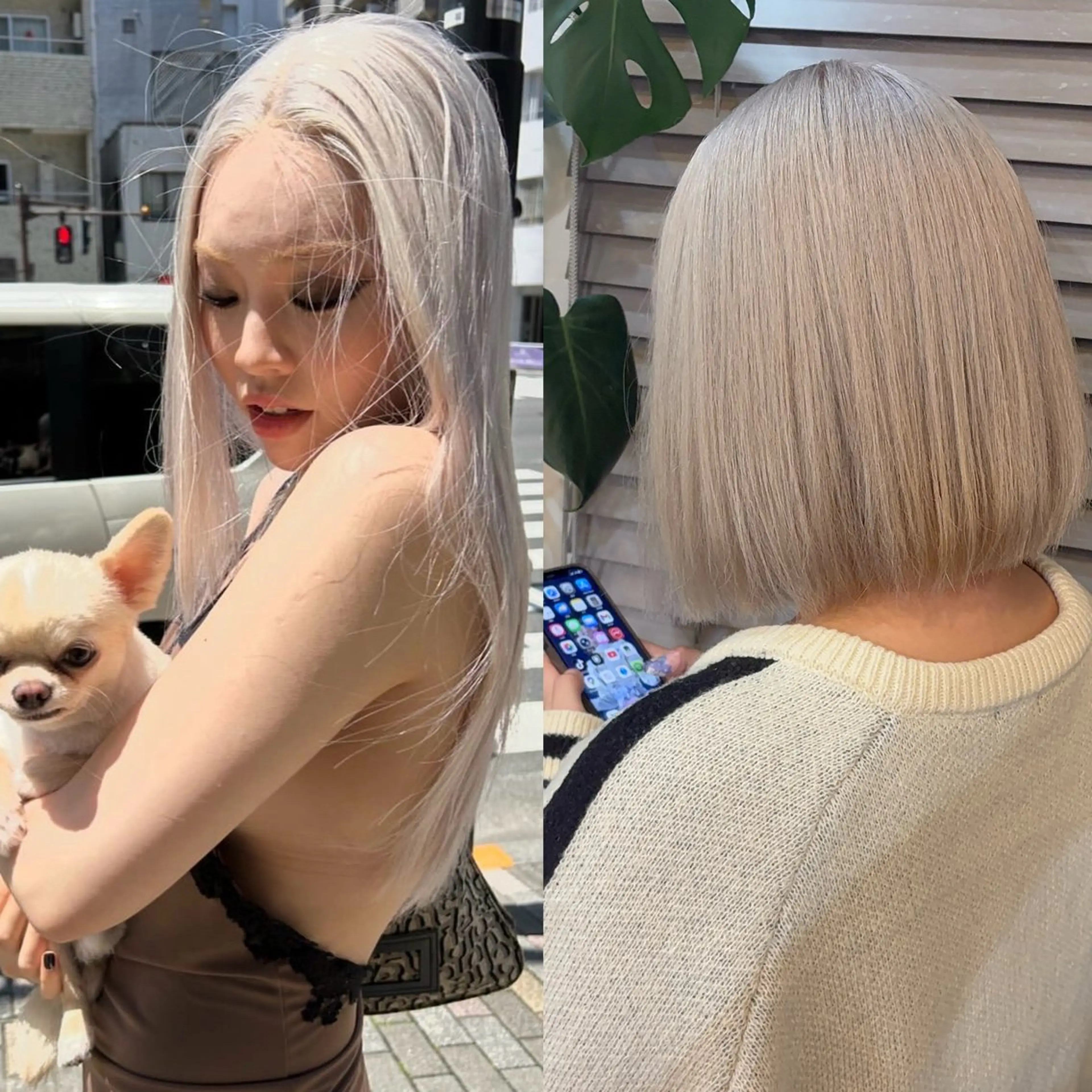 ショート ヘアカラー あやか/ハイトーンカ ラー/デザインカラーのヘアスタイル