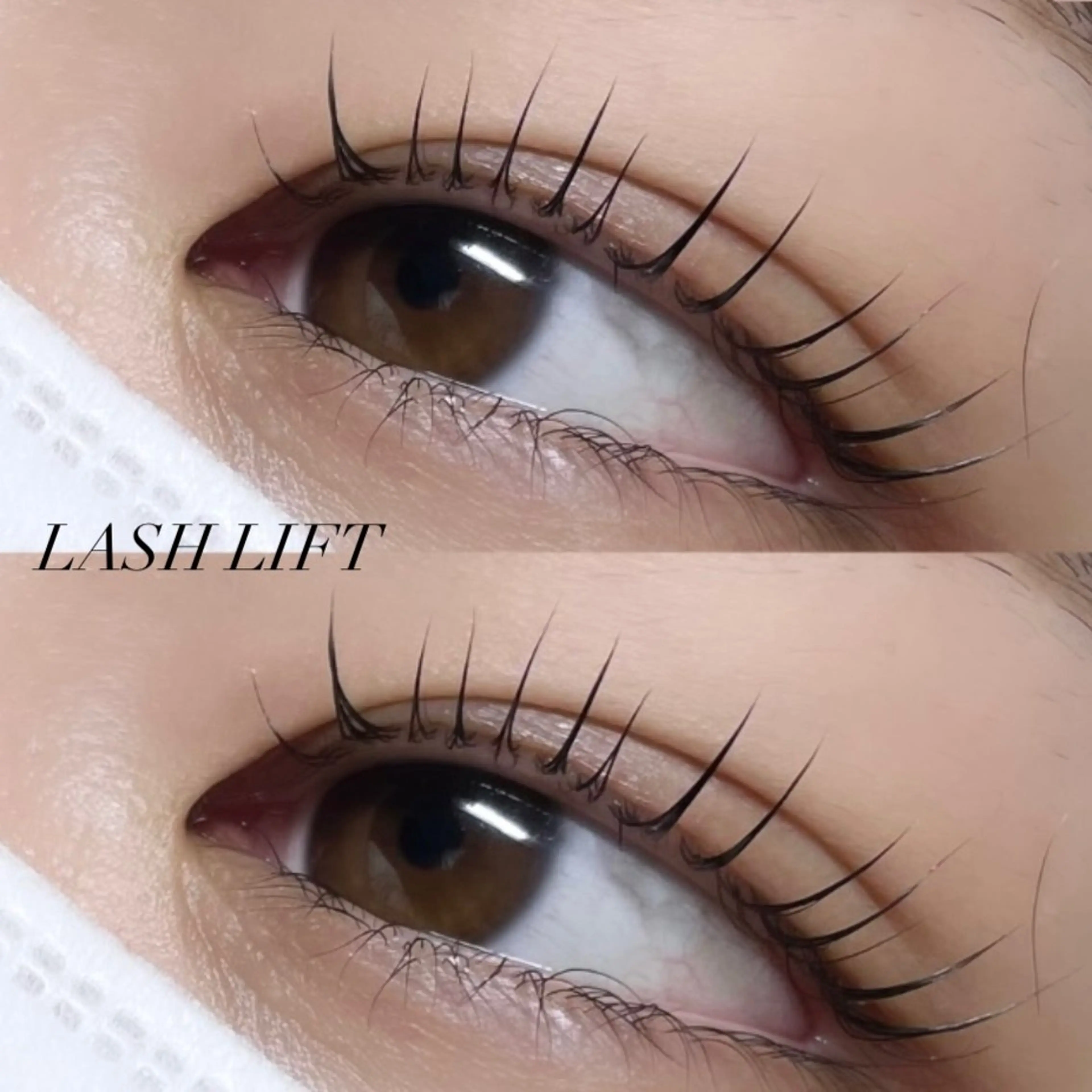 マツエク・マツパ マツパ 🎀eyelist AYA🎀韓国まつ毛のマツエク・マツパデザイン