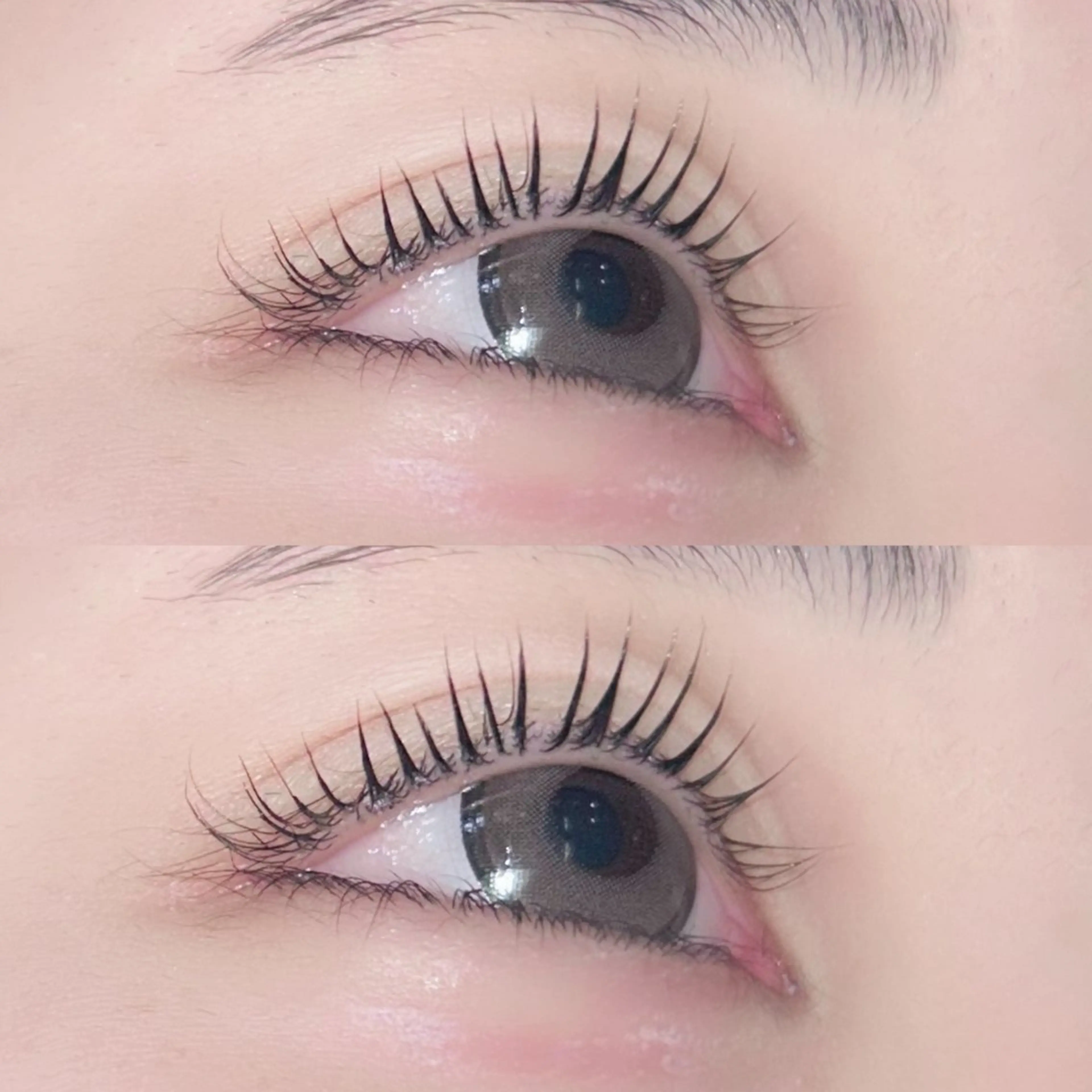 マツエク・マツパ マツパ NARUMI/ マツエク/パリ/束感のマツエク・マツパデザイン