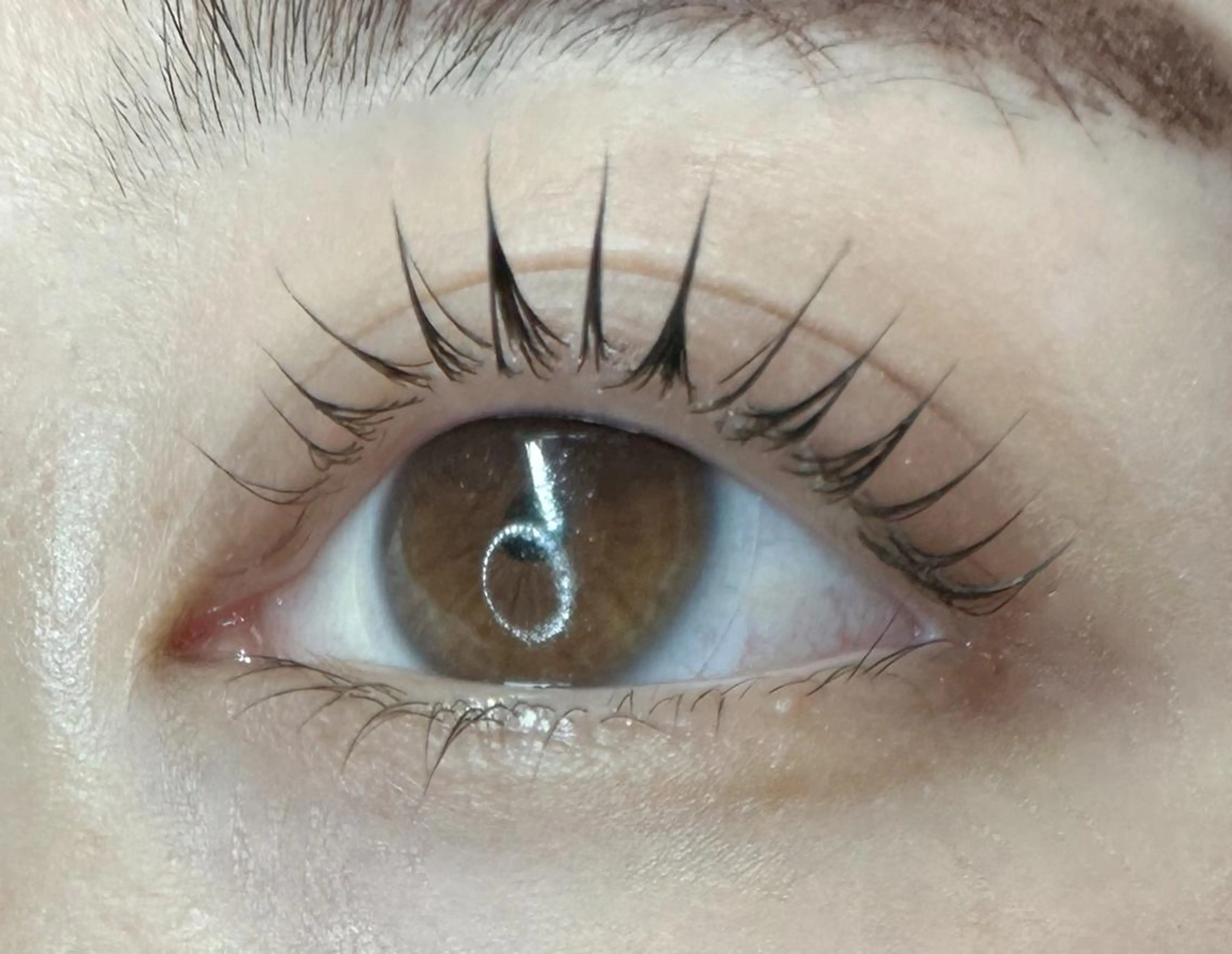 🌸【新規/練習モデル】🌸   👀ラッシュリフト(上)💖✨の写真