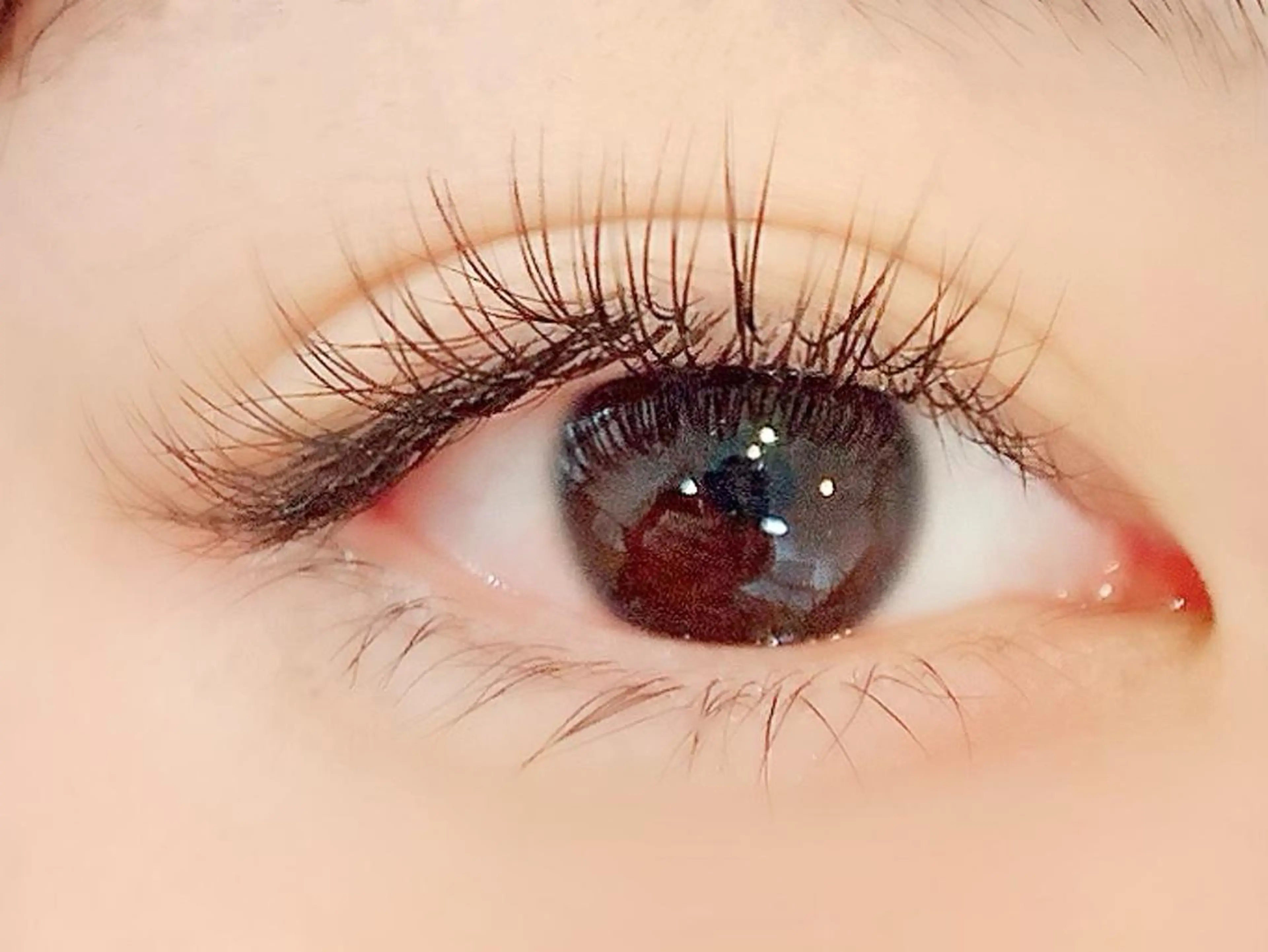 マツエク・マツパ フラットラッシュ YELLIO所属・YELLIO (エーリオ)のマツエク・マツパデザイン