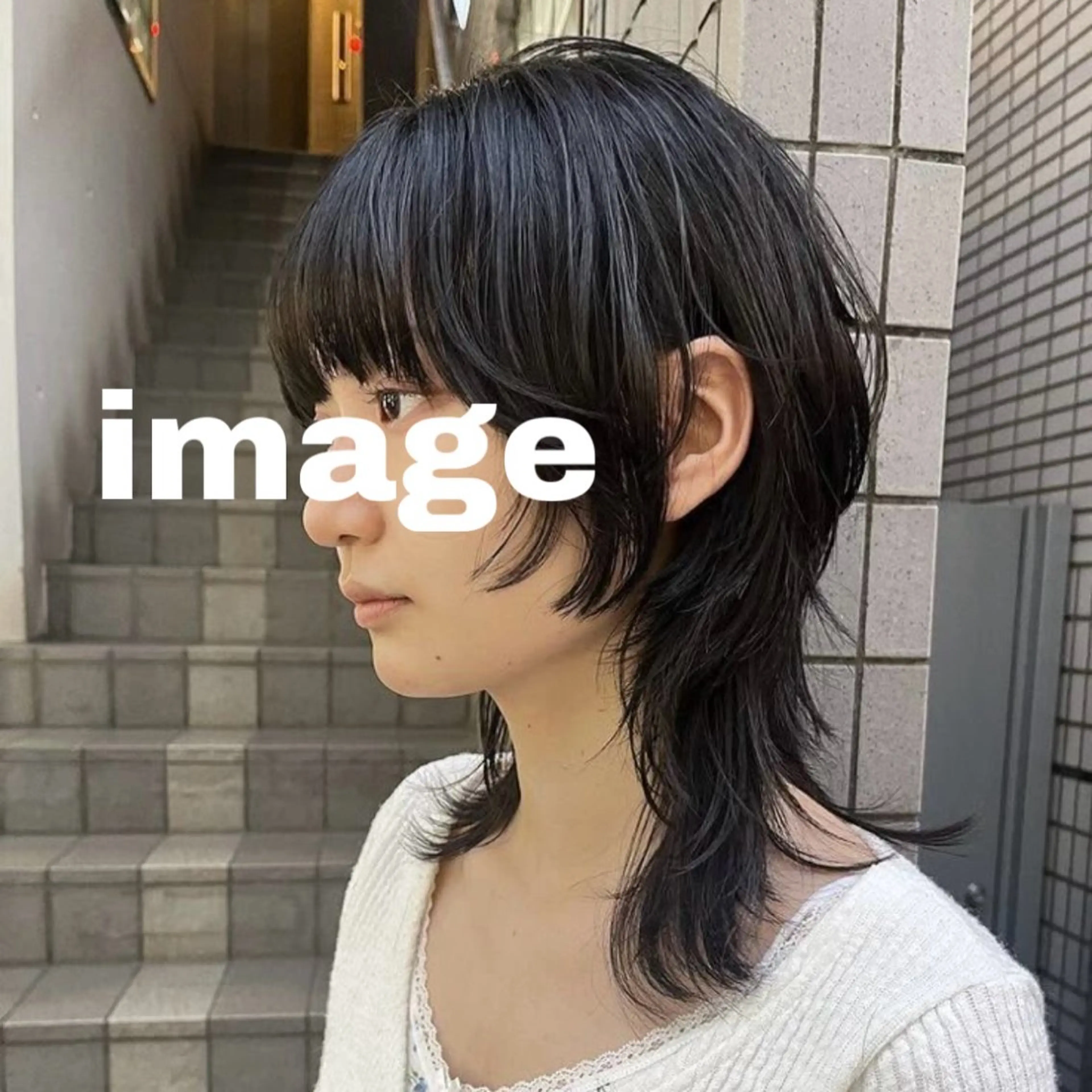 急募❕ウルフカットモデル❕の写真