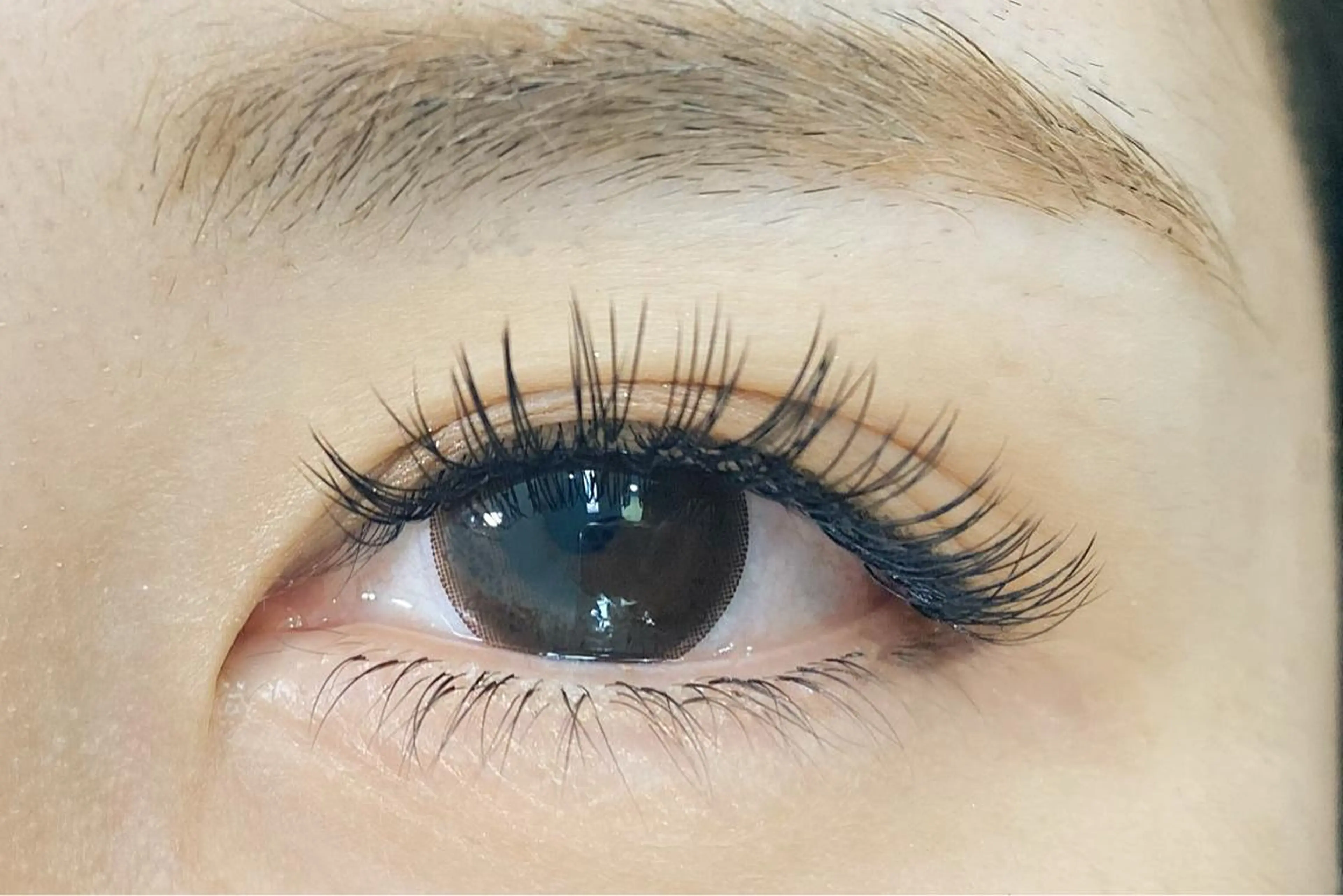 マツエク・マツパ 下まつげエクステ Laurel まつパ マツエクNano🫧のマツエク・マツパデザイン