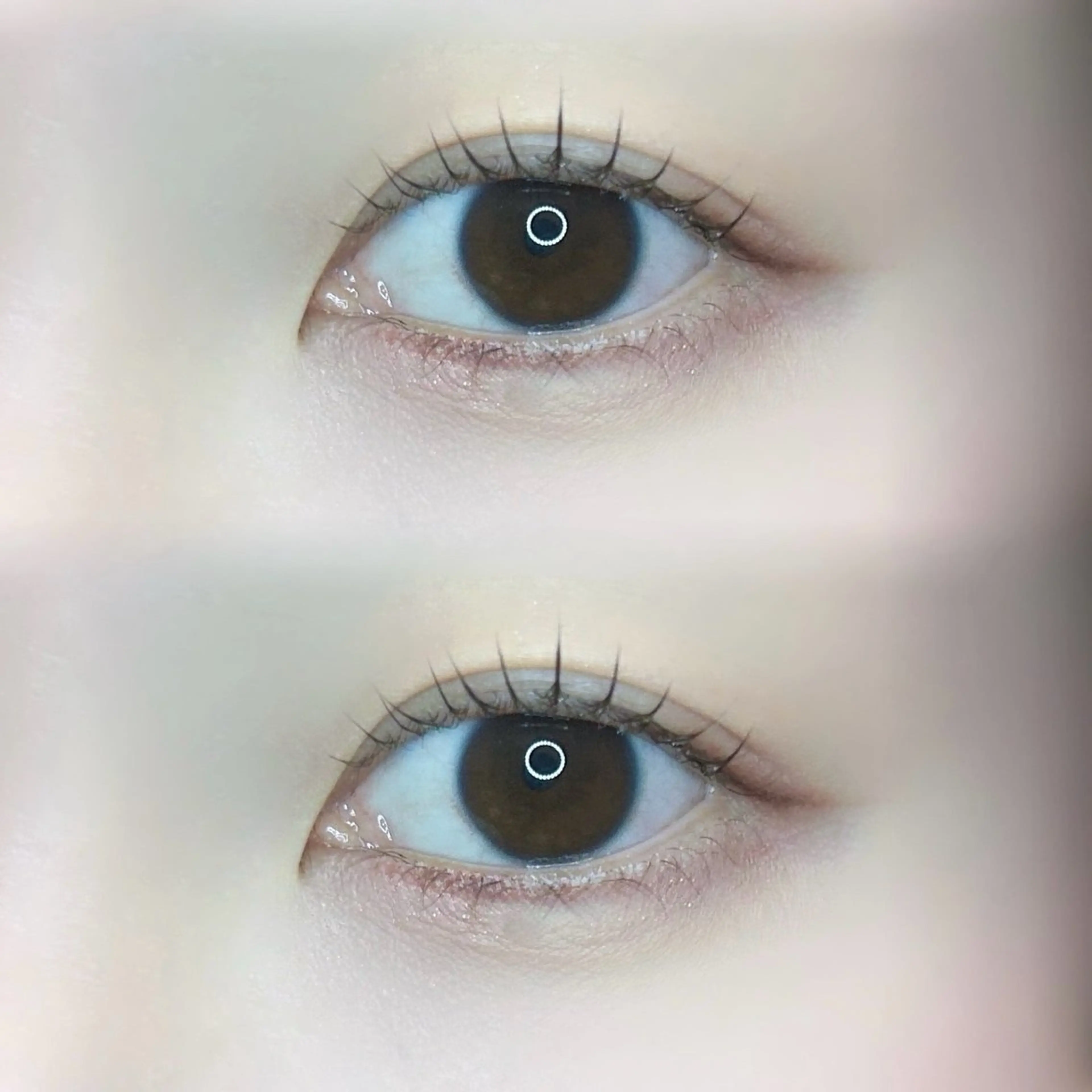 マツエク・マツパ 🍀fein. sakura🍀の眉毛・アイブロウイメージ