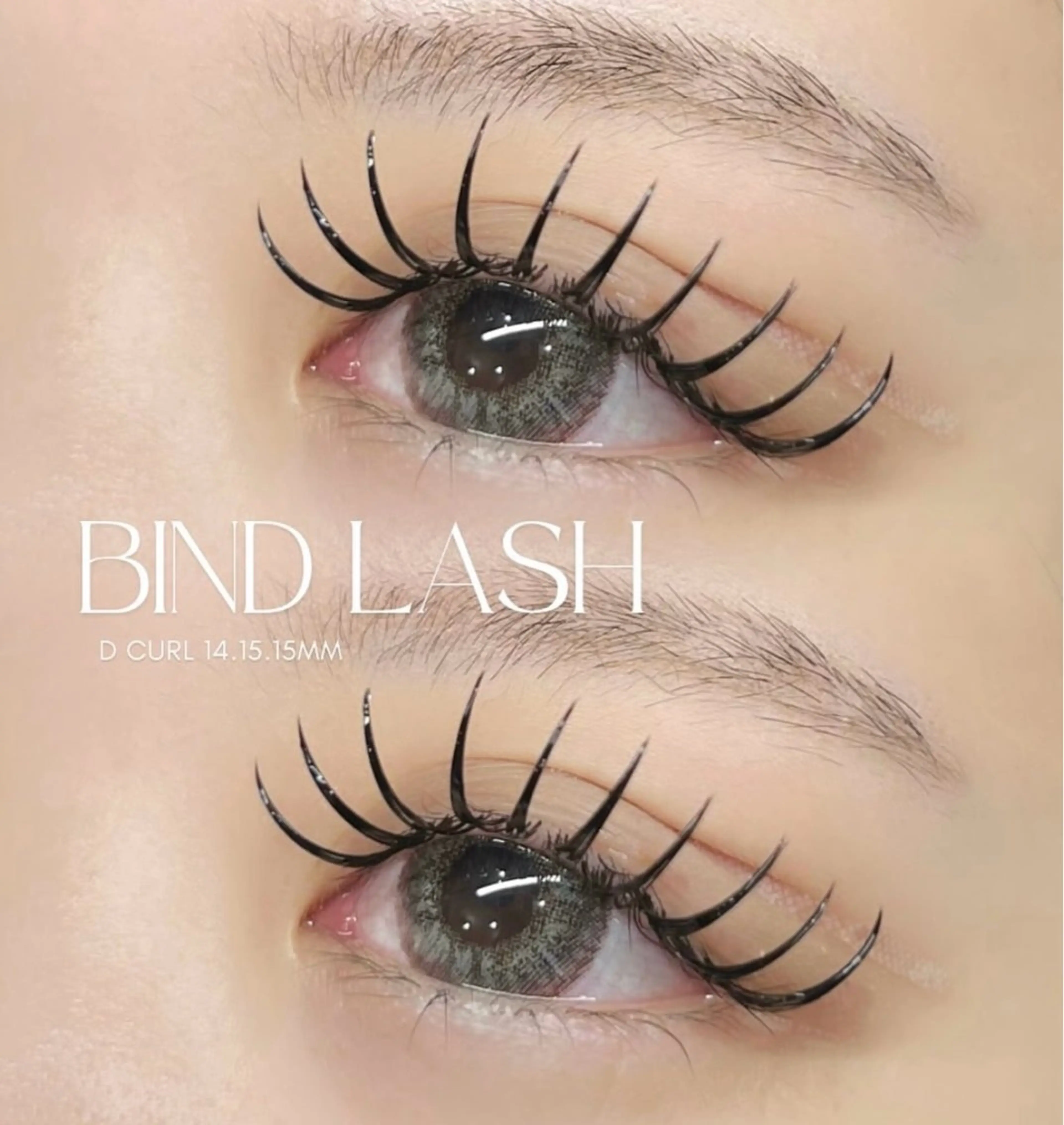 期間限定🥥バインドロック 120束🥥コーティング付きの写真