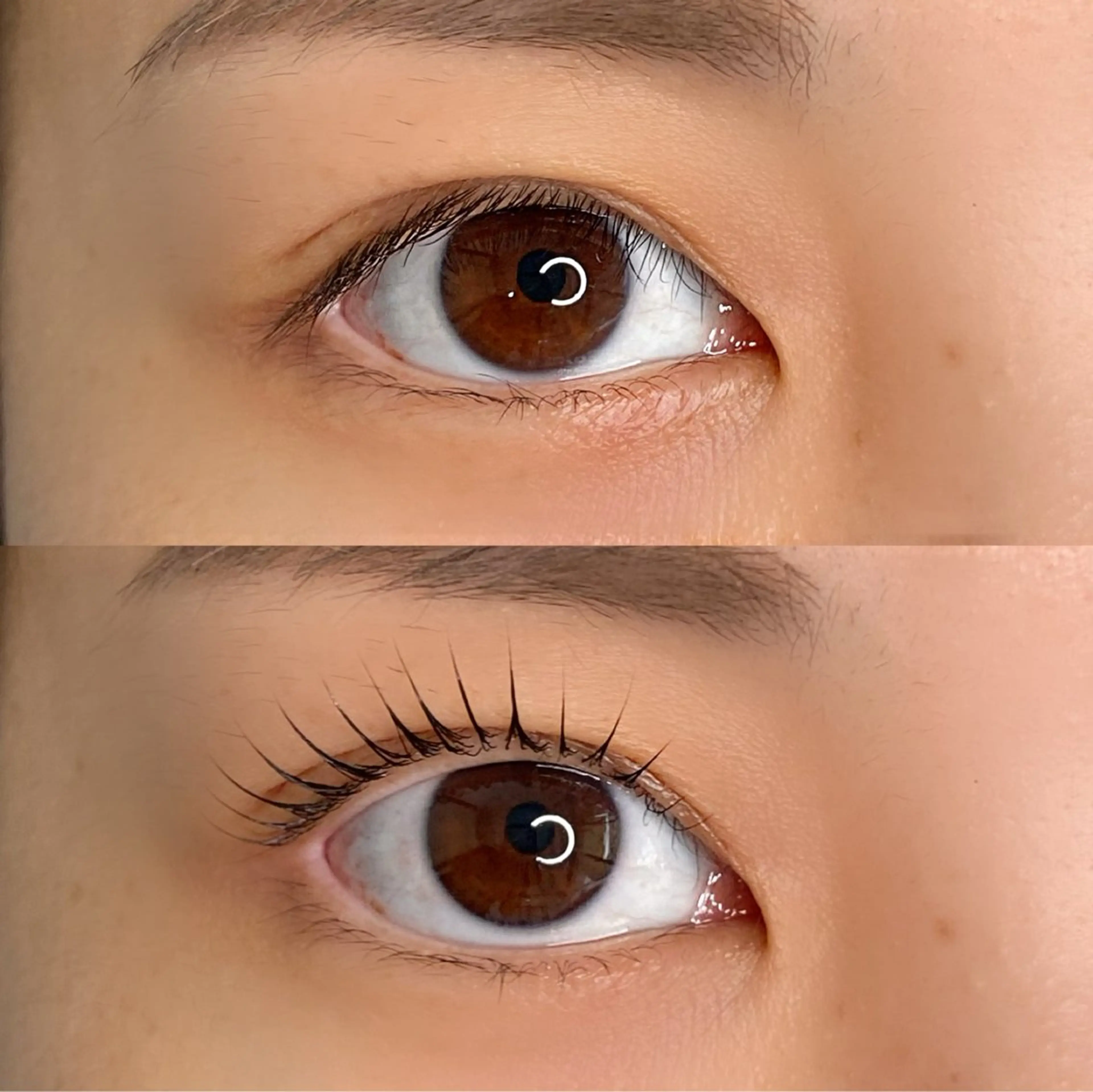 マツエク・マツパ 自まつ毛改善サロンAnn Moss 日本橋所属・SHIMIZU/ マツエク・マツパのマツエク・マツパデザイン