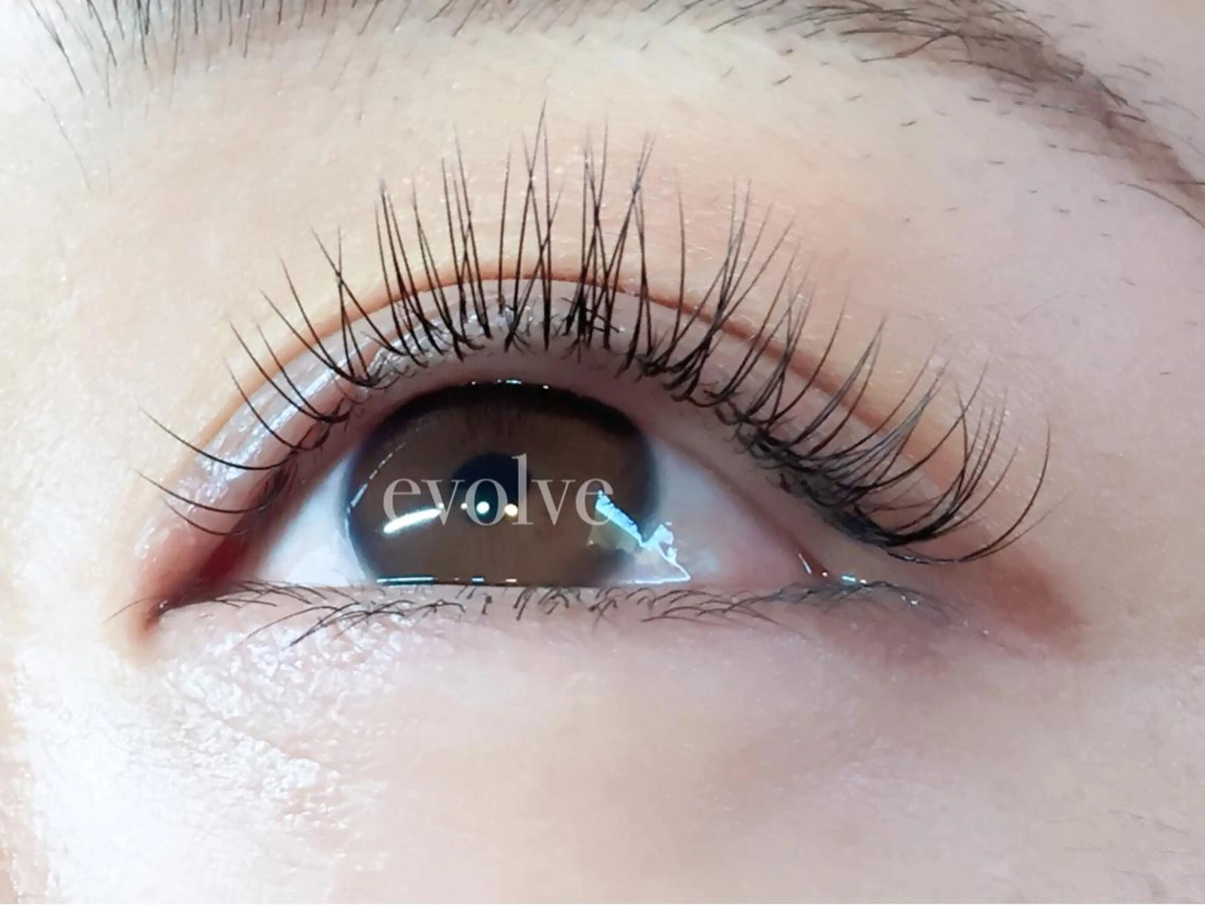 マツエク・マツパ Cカール マツエク evolve by TypeAB所属・evolve  by TypeABのマツエク・マツパデザイン