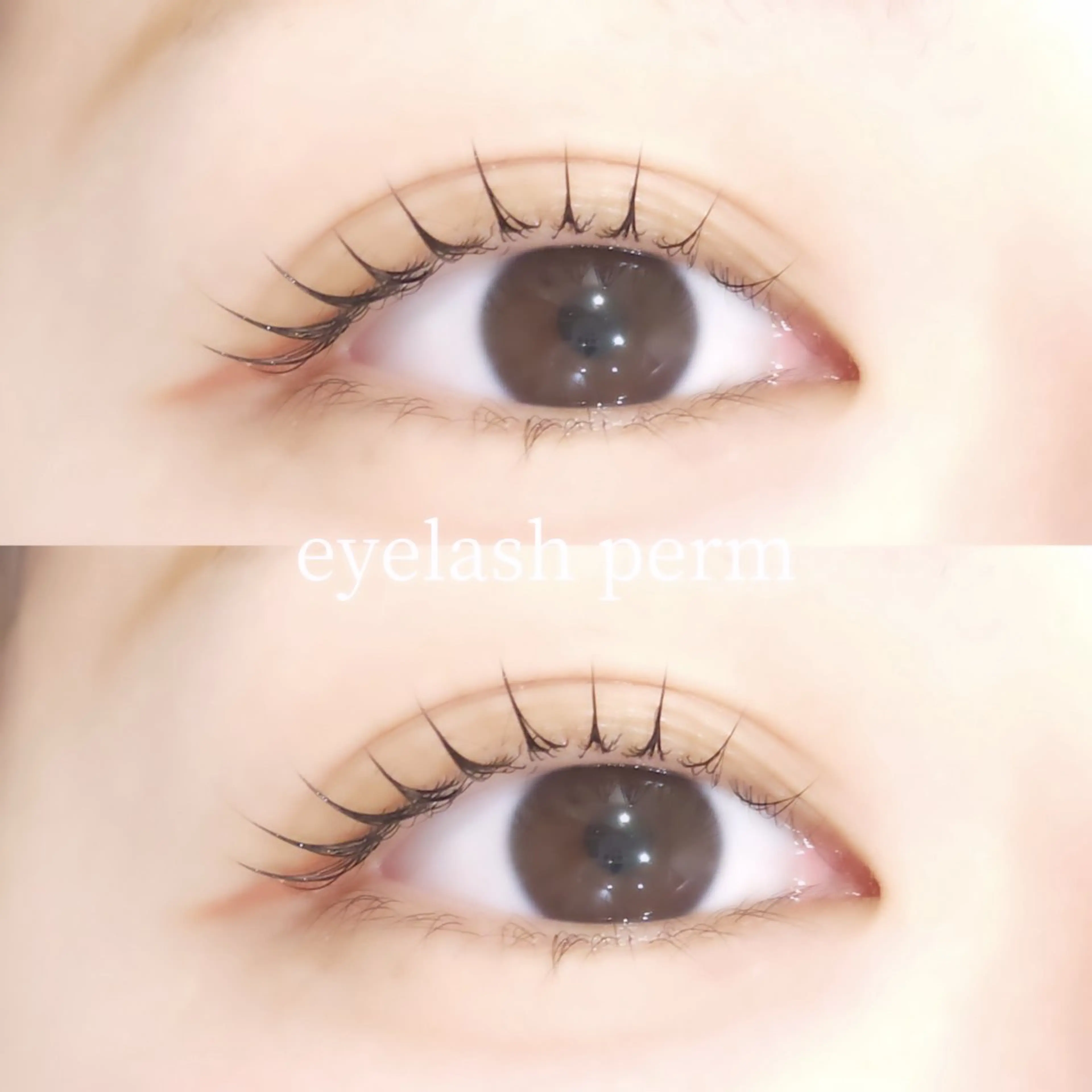 マツエク・マツパ マツパ GALLARIA MIKOのマツエク・マツパデザイン