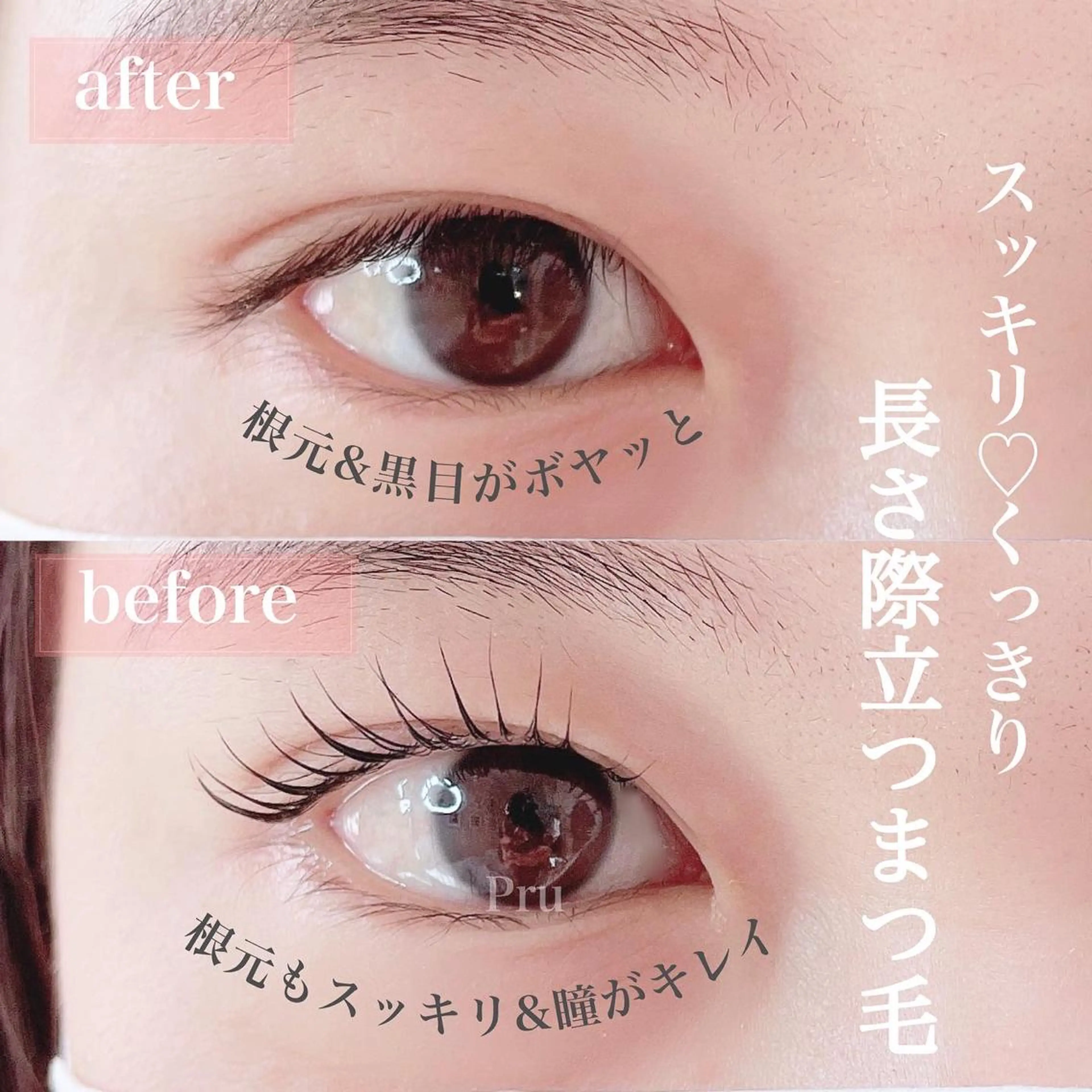 マツエク・マツパ まつげパーマ マツパ プル eyelashのマツエク・マツパデザイン