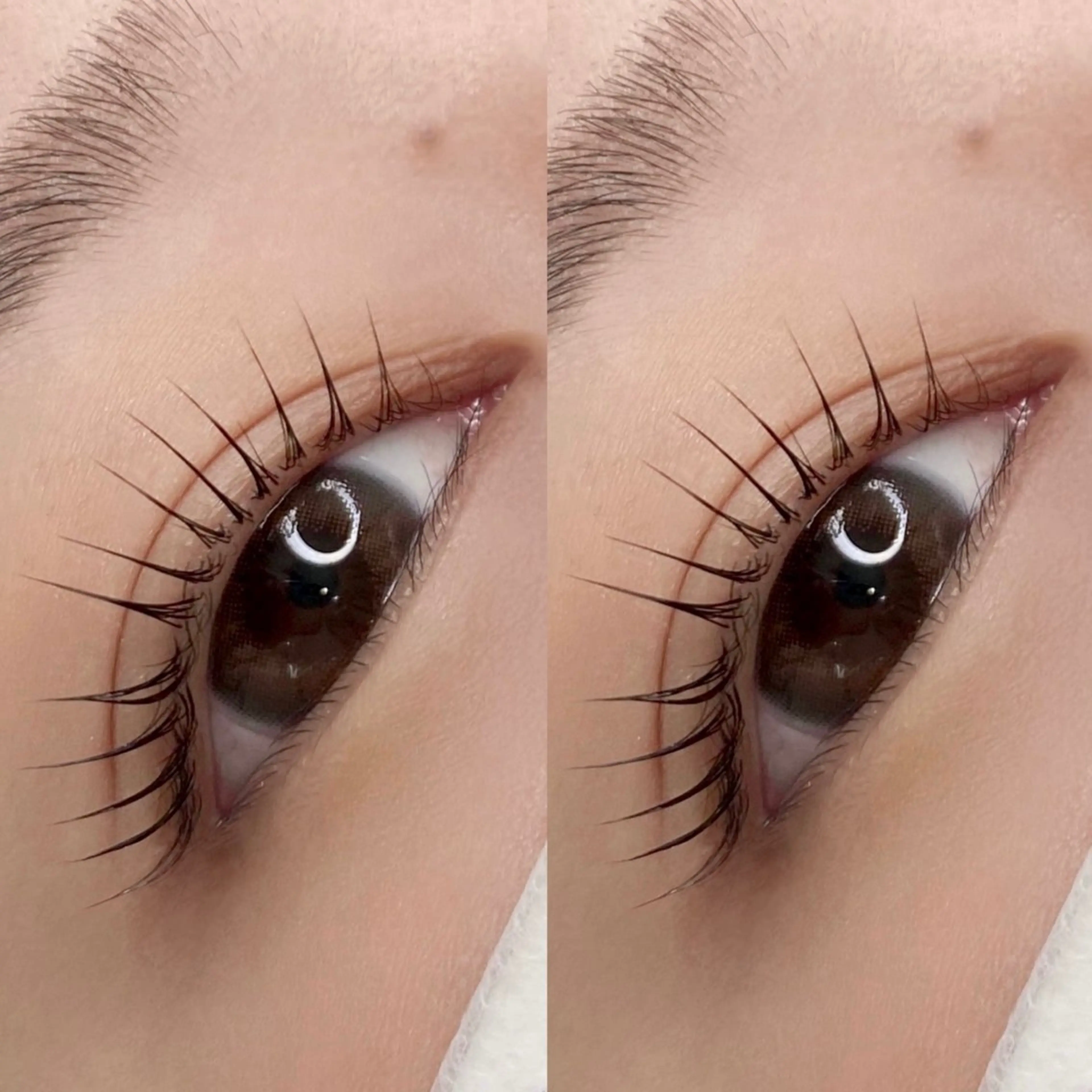 マツエク・マツパ パリジェンヌラッシュリフト マツパ BEMOA eyelash&eyebrow所属・BEMOA 藤本 毬のマツエク・マツパデザイン