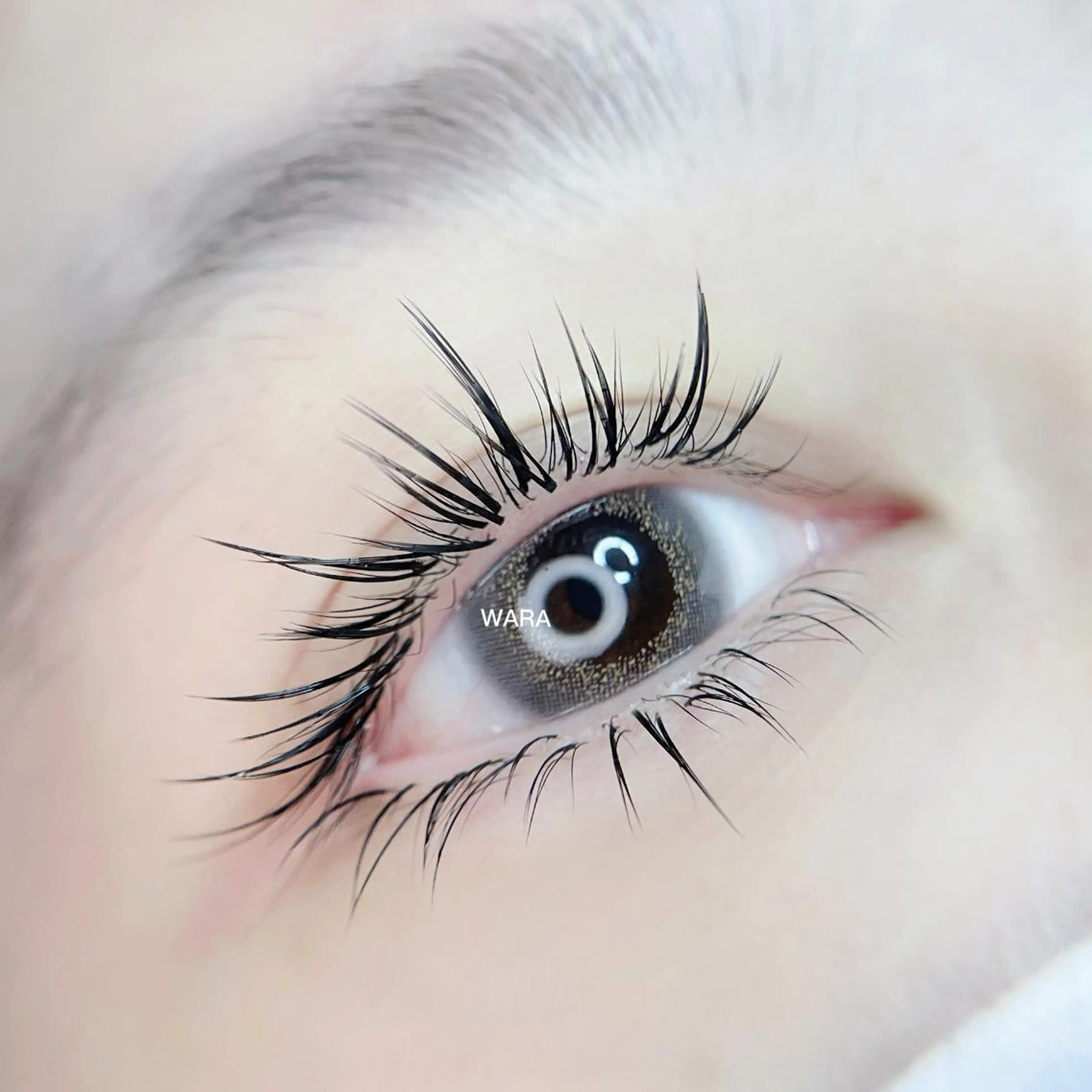 マツエク・マツパ マツエク foisalon 大久保店のマツエク・マツパデザイン