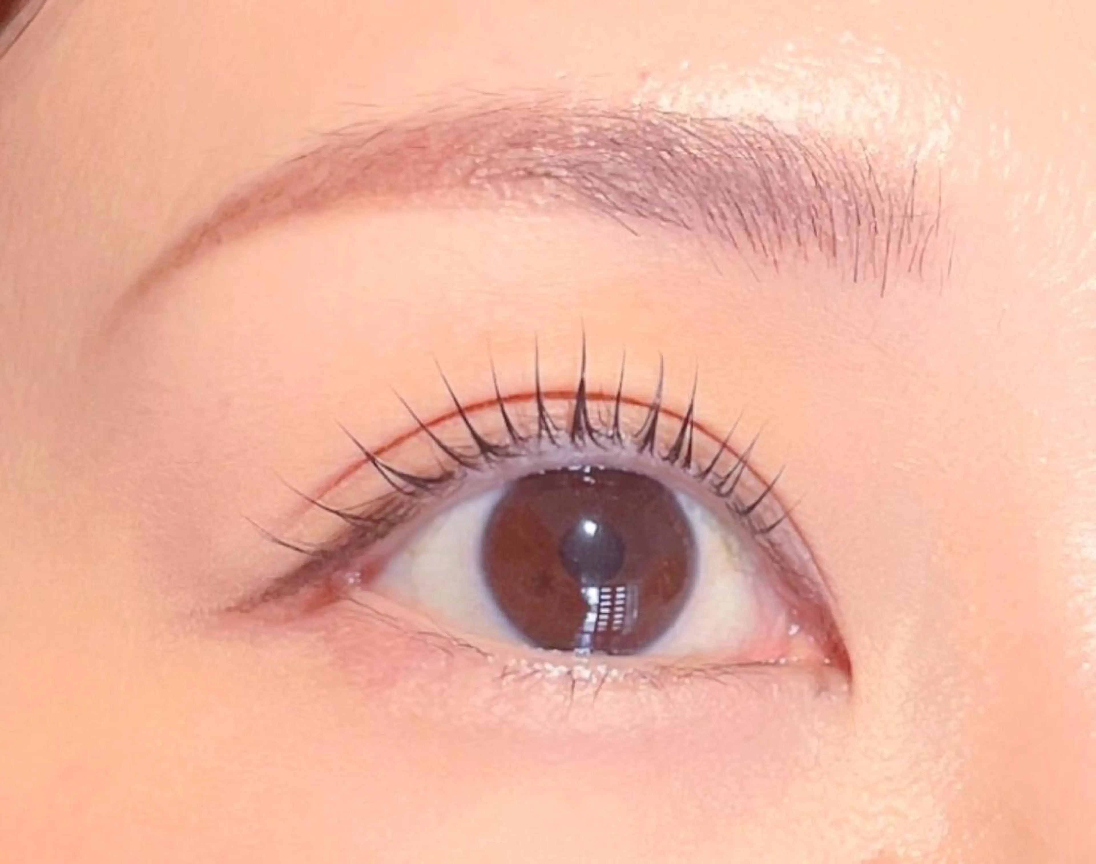 ⭐️大人気★潤いまつげパーマ上＋スペシャルケア付き⭐️の写真