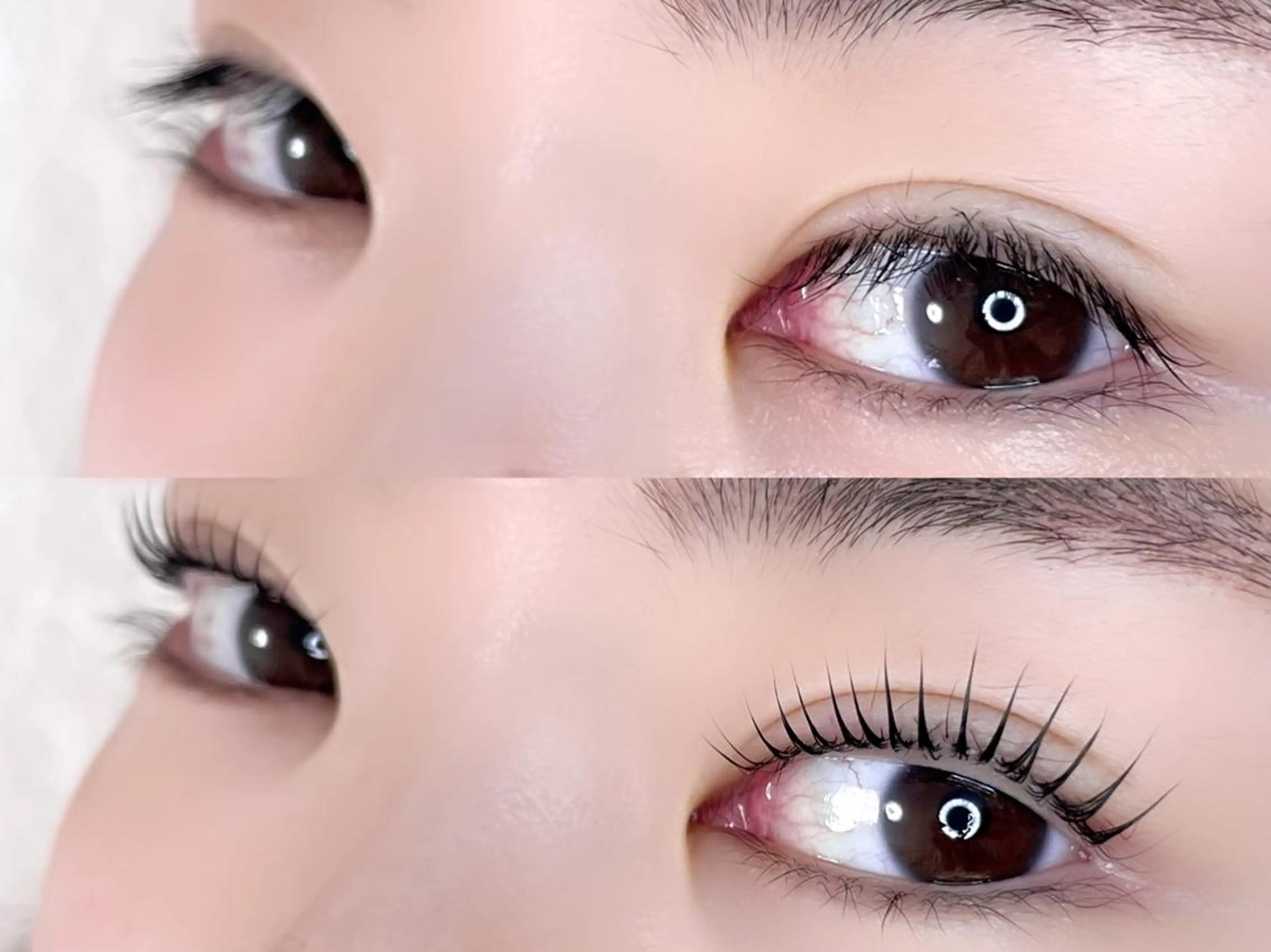 マツエク・マツパ パリジェンヌラッシュリフト Po eyelash ･:* 下北沢のマツエク・マツパデザイン