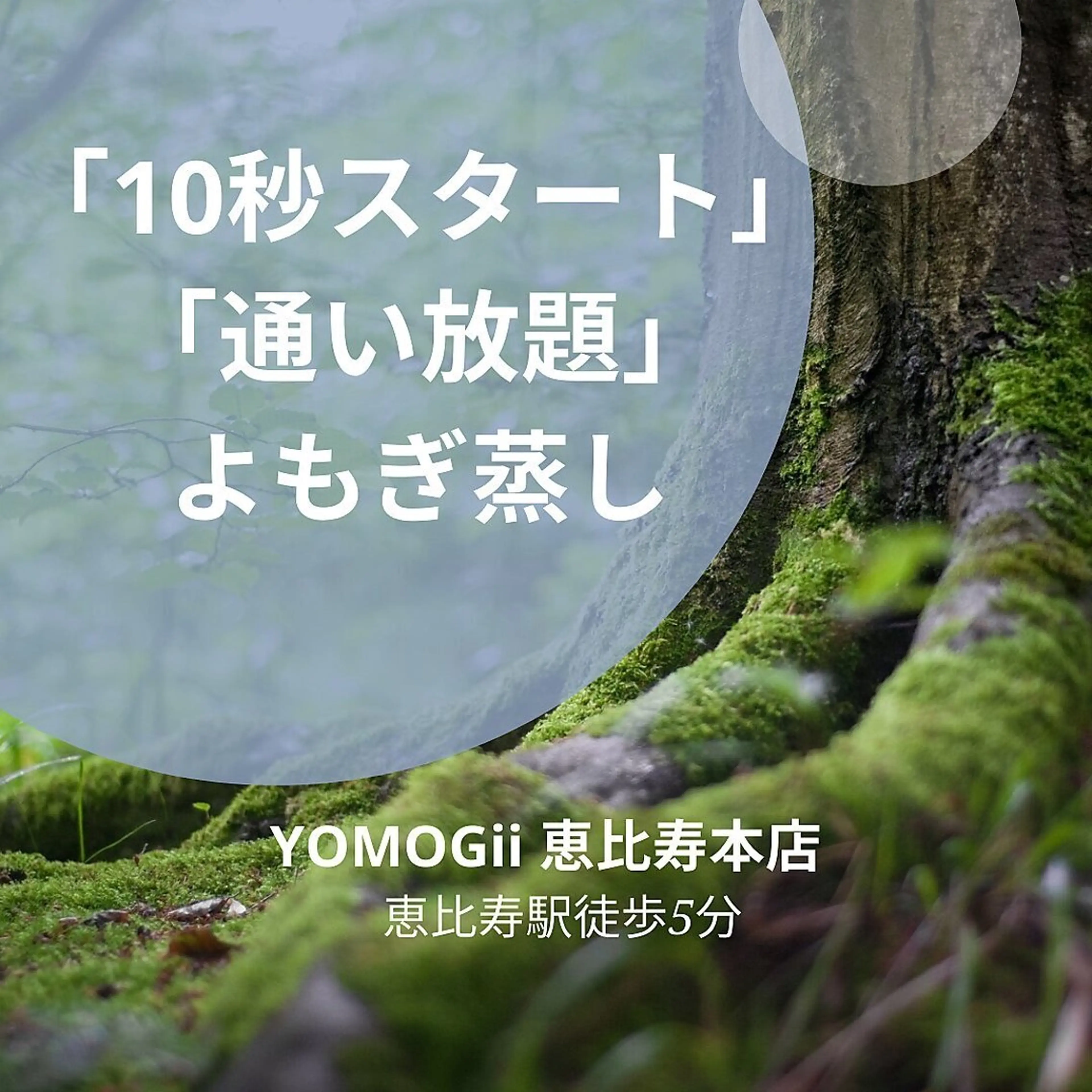 よもぎ蒸し通い放題YOMOGii【ヨモギー】よもぎ蒸し専門・柏店所属・YOMOGii 田中 瑞穂のエステ・リラクイメージ