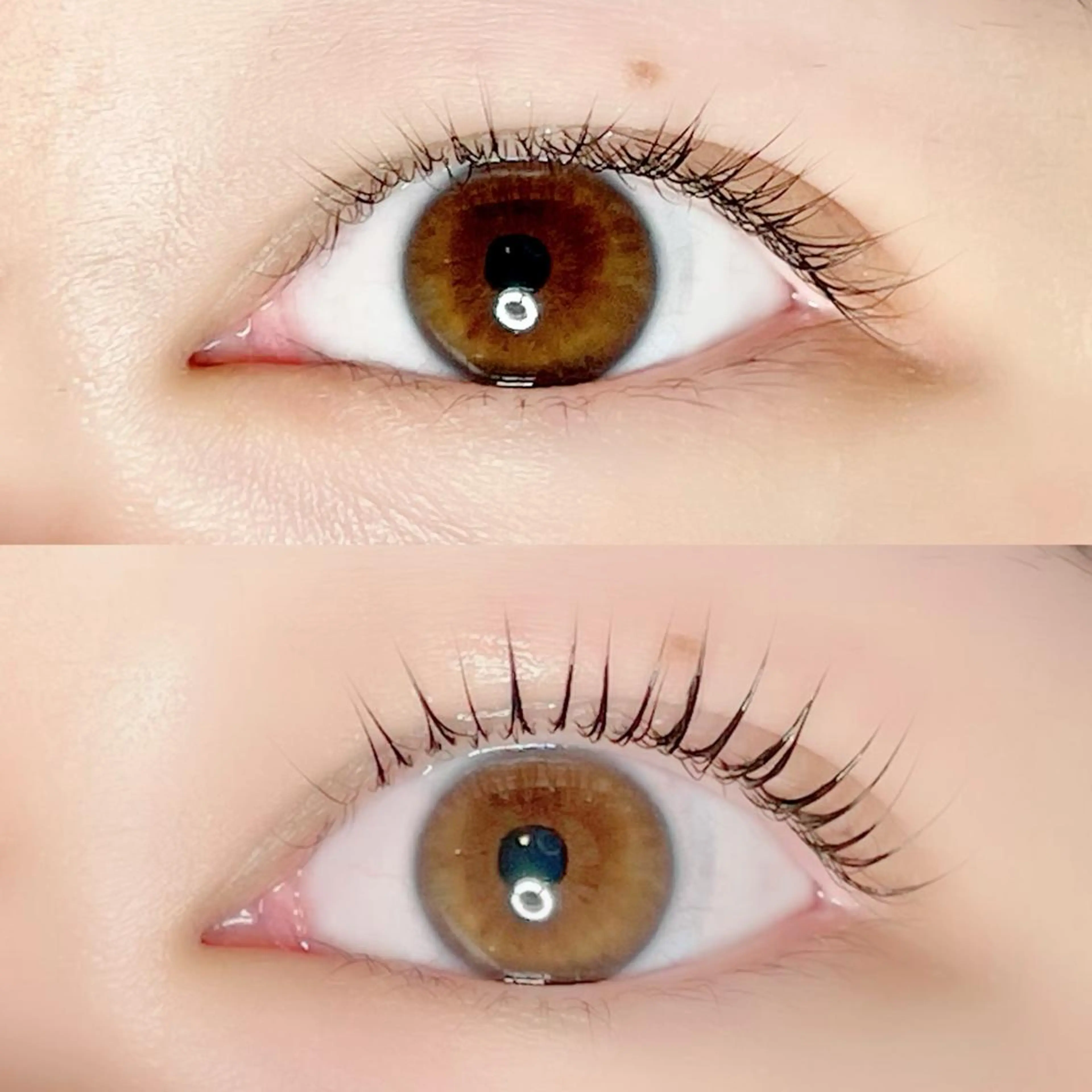 マツエク・マツパ マツパ AYLASH🧡 猪又のマツエク・マツパデザイン