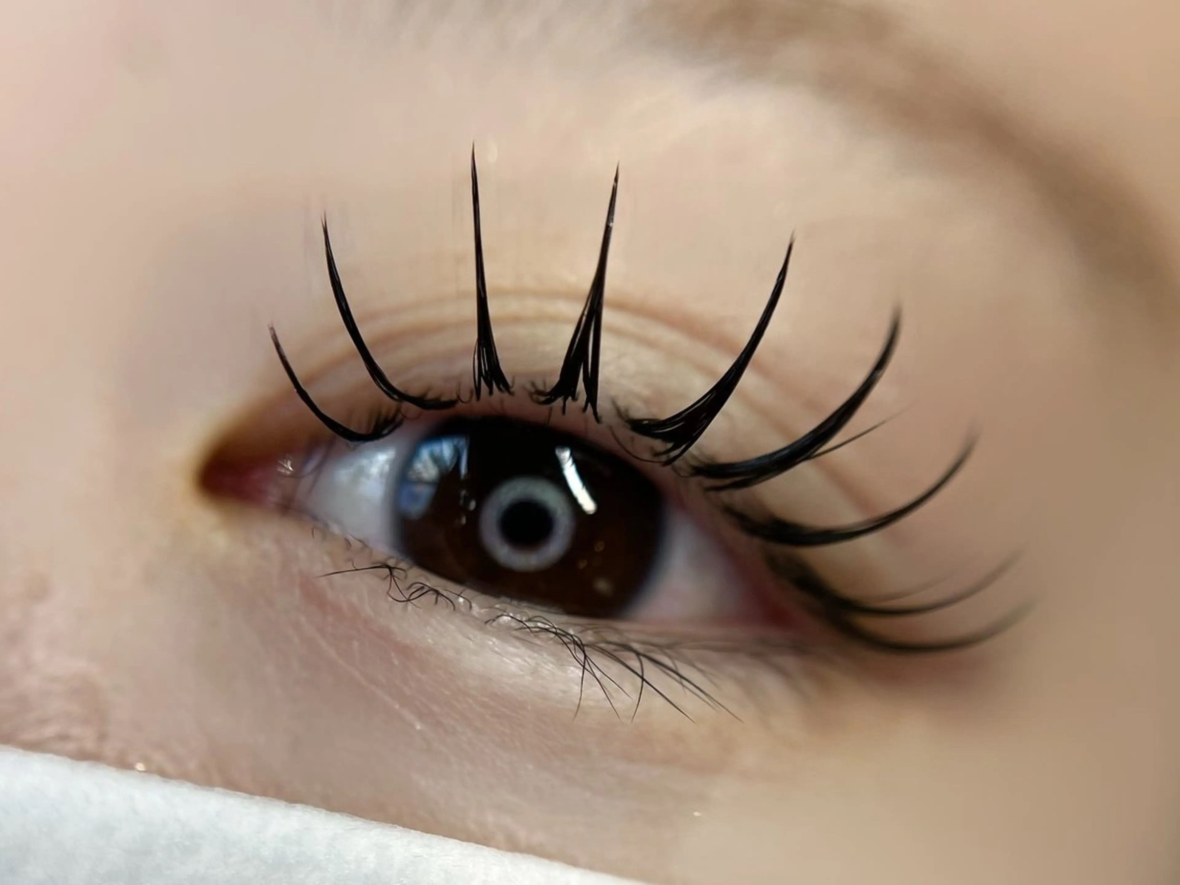 マツエク・マツパ マツエク Lau【ラウ】所属・Lau【ラウ】 ⁂NaNaのマツエク・マツパデザイン