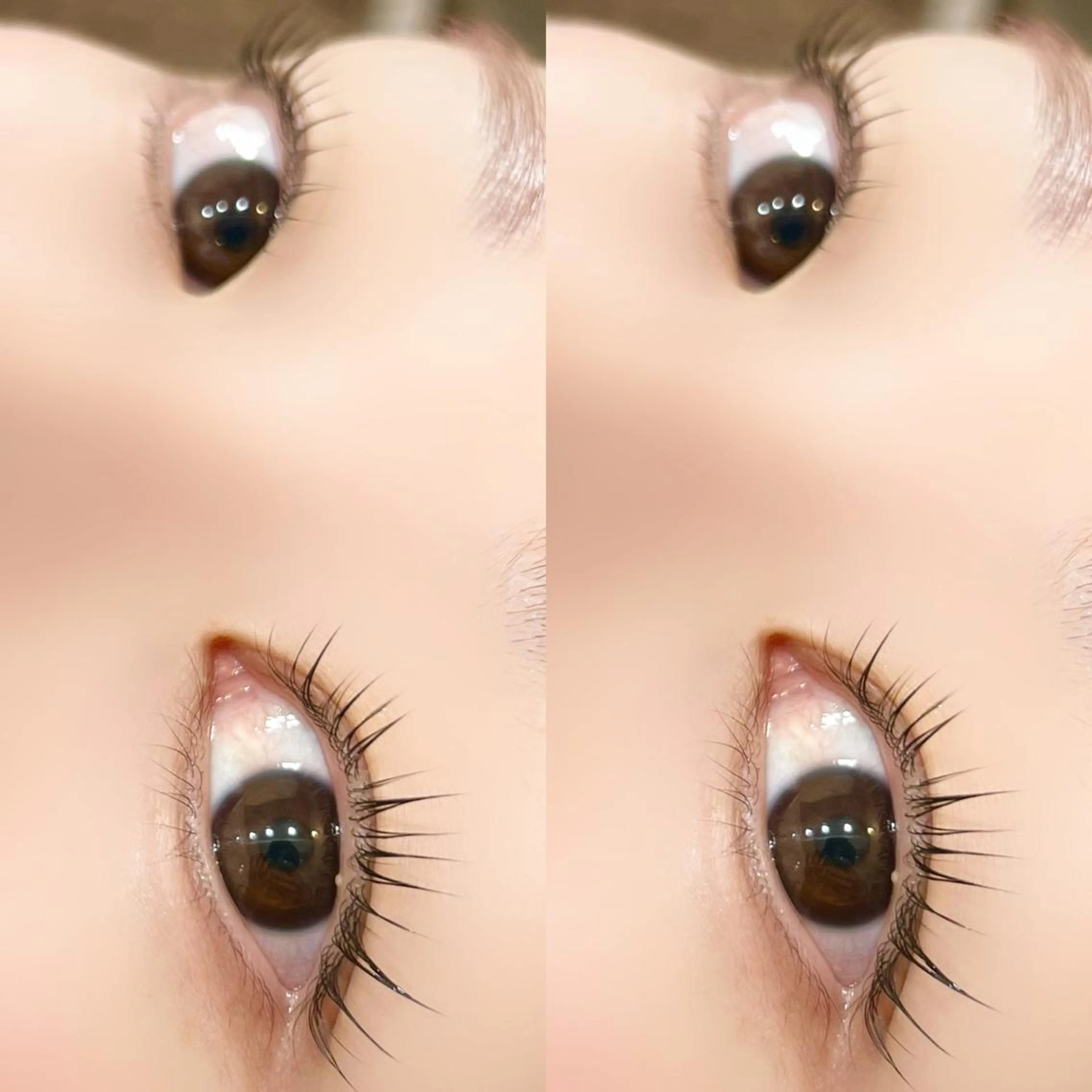 マツエク・マツパ パリジェンヌラッシュリフト 【myonsil】 Suzuki*のマツエク・マツパデザイン