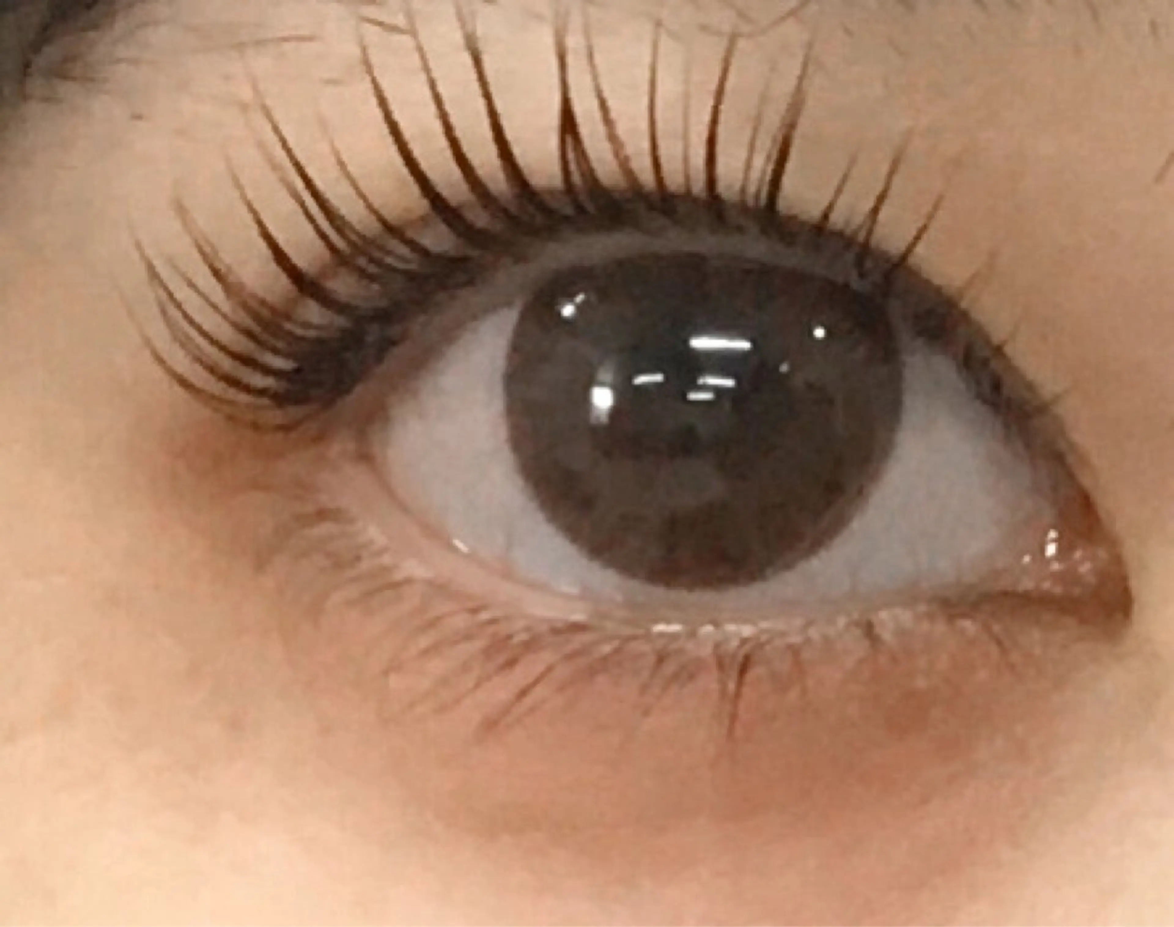 パーマ Nail& Eyelashパレスのマツエク・マツパデザイン