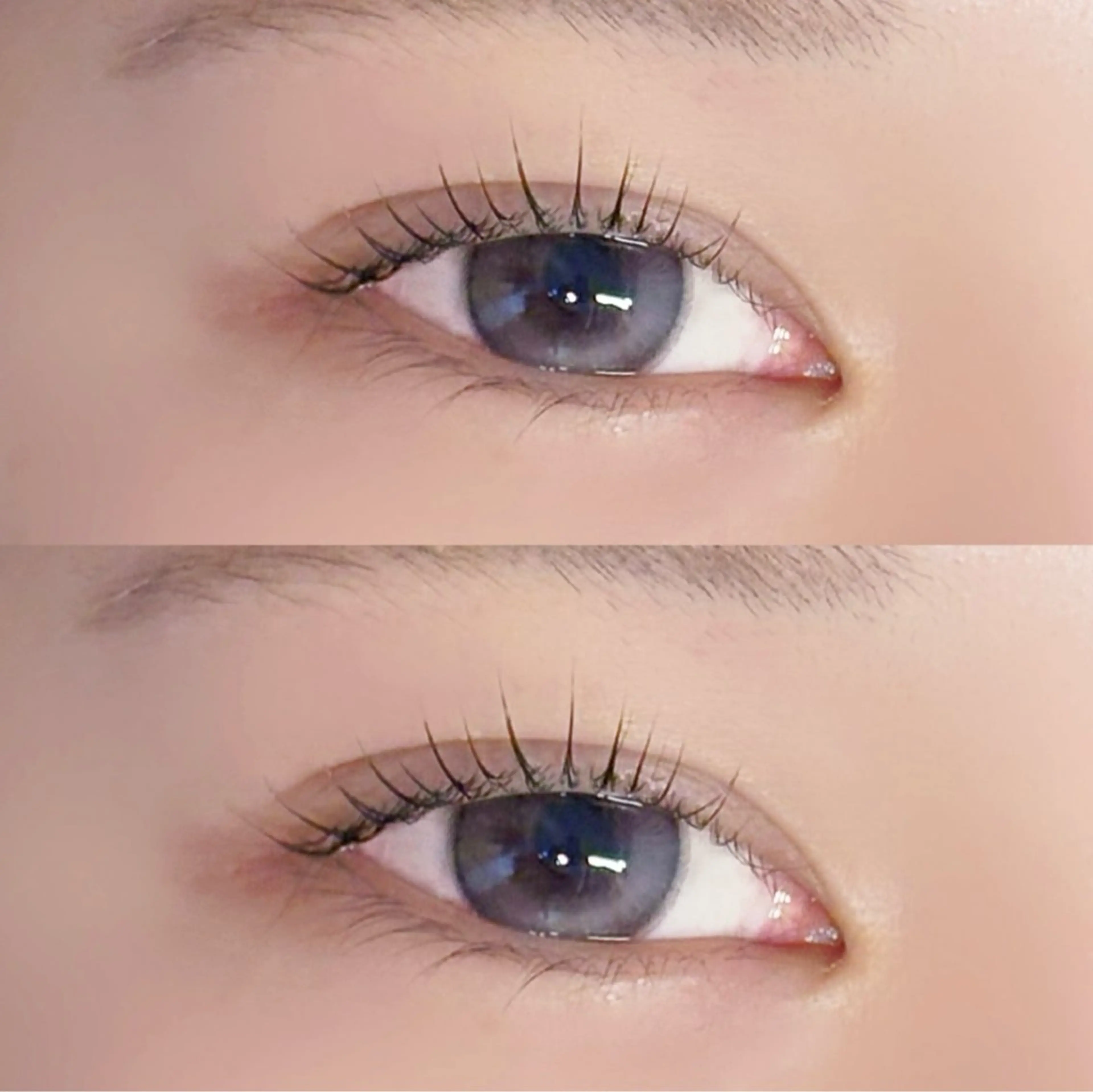 ⭐️期間限定⭐️まつ毛パーマ➕美容液コーティング付き🪽💖の写真