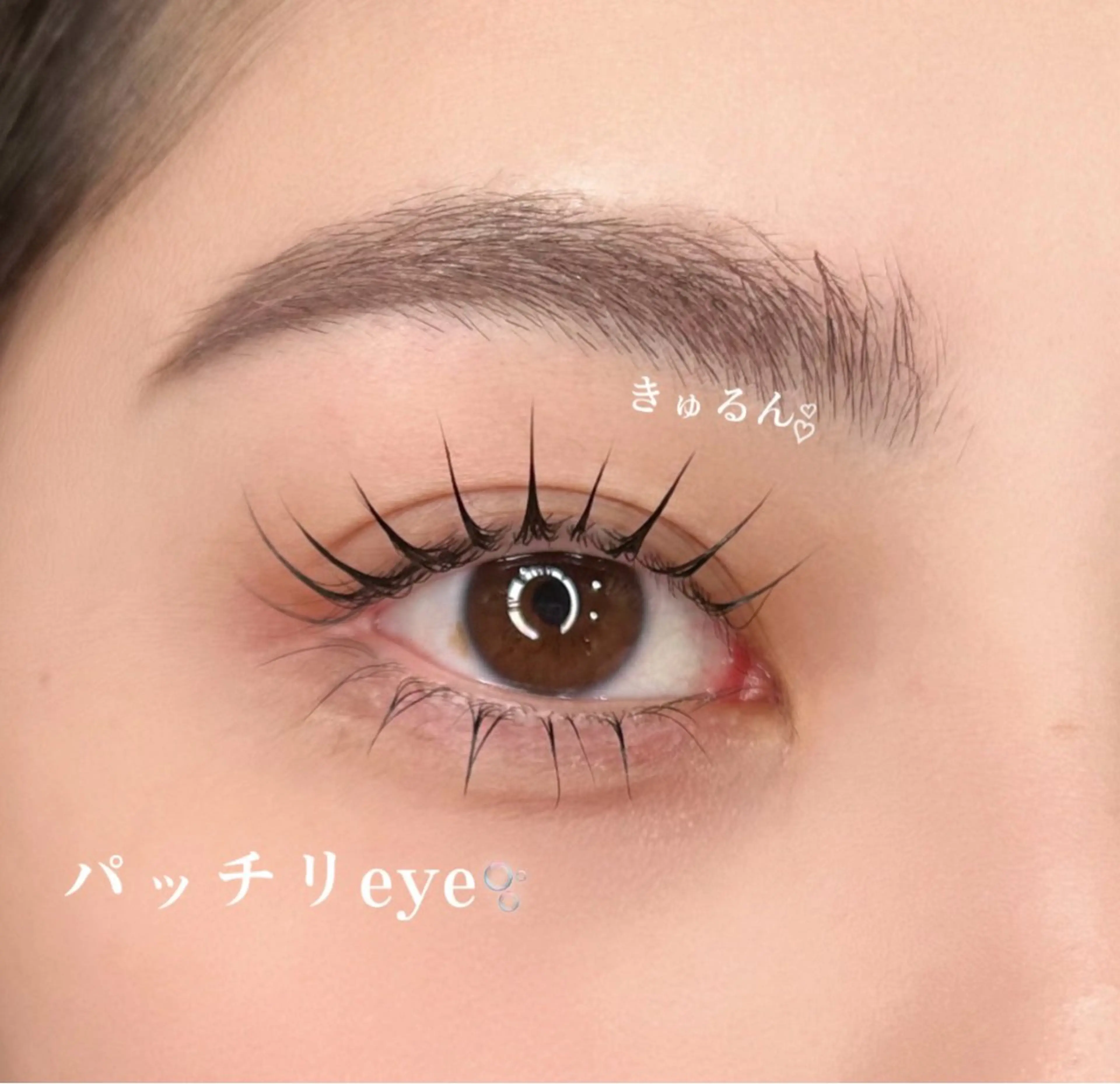 マツエク・マツパ 一重×まつ毛パーマ 🧡MISUZU 京都Two🧡のマツエク・マツパデザイン
