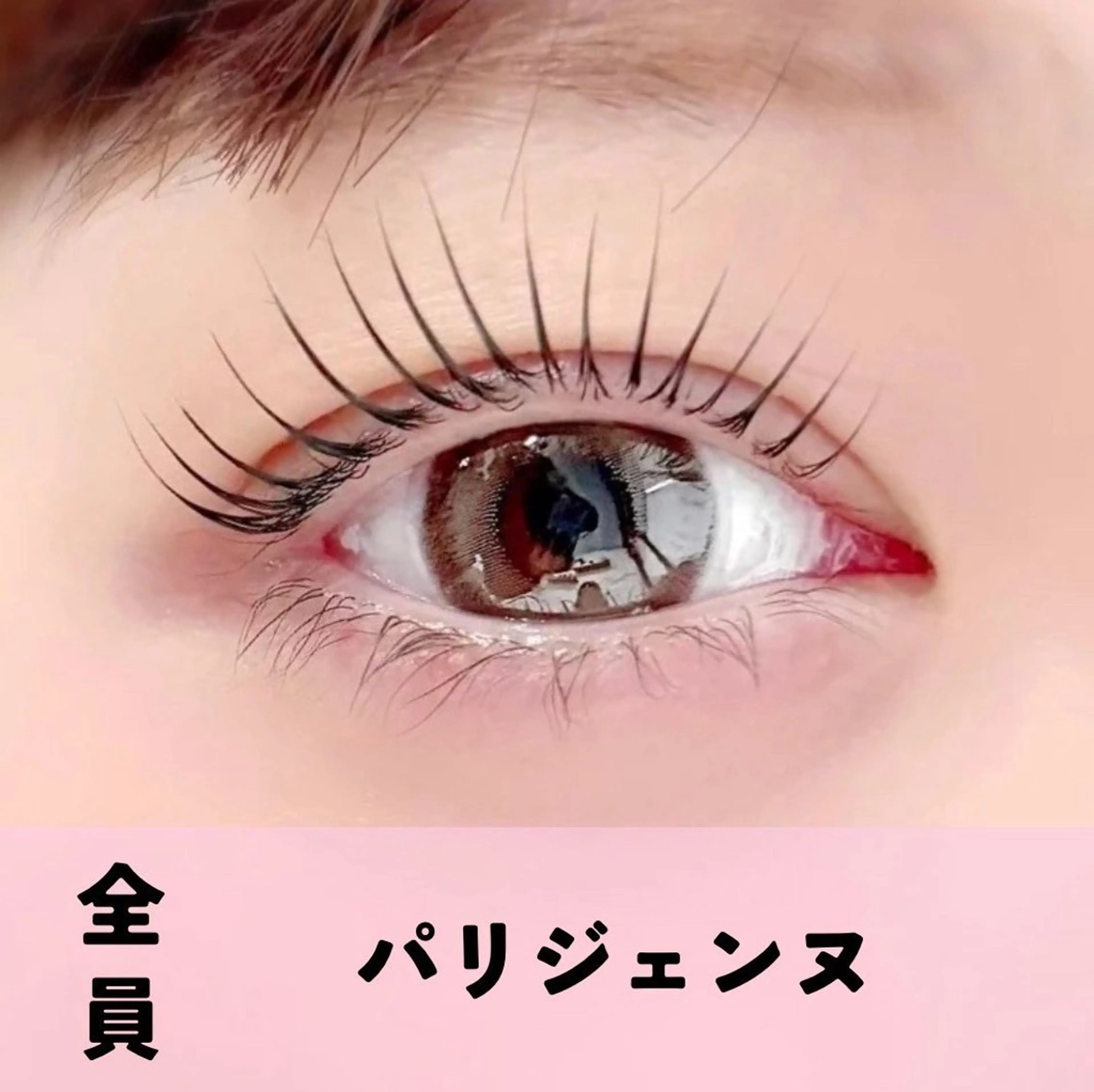【当日限定一日先着3名限定】パリジェンヌラッシュリフト（90分）の写真