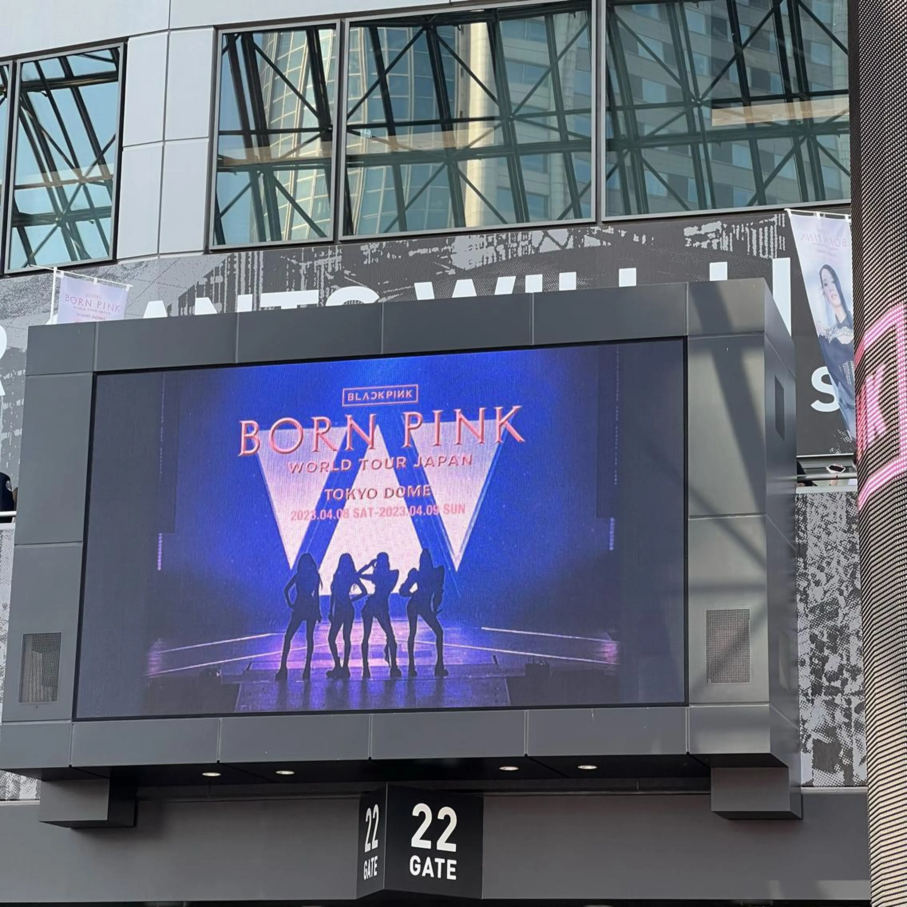 マツエク・マツパ eyelist 𝐧𝐚𝐨のマツエク・マツパデザイン