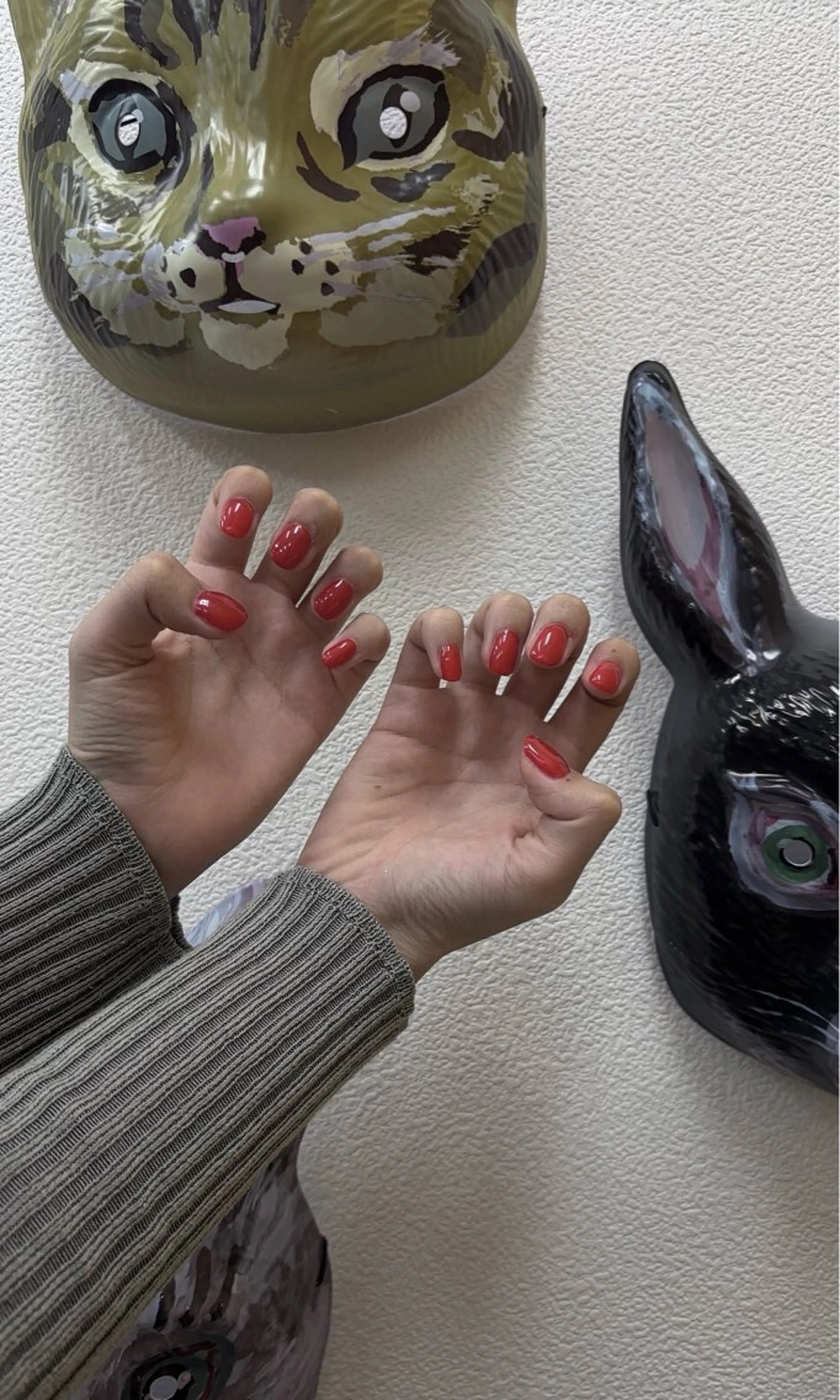 ハンドワンカラー(オフなし)の写真